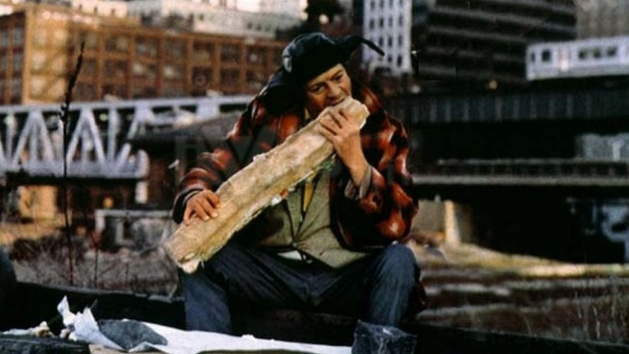 My Name Is Rocco Papaleo Background