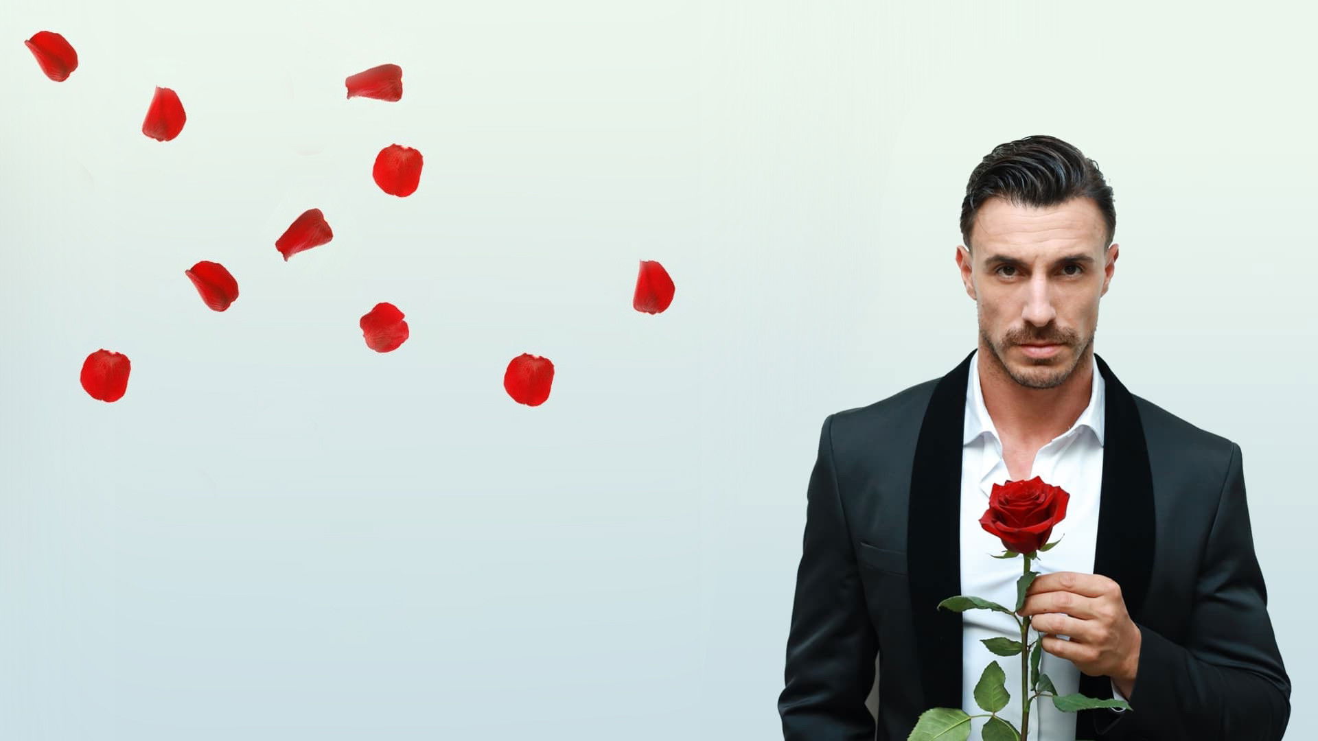 The Bachelor bTV Background