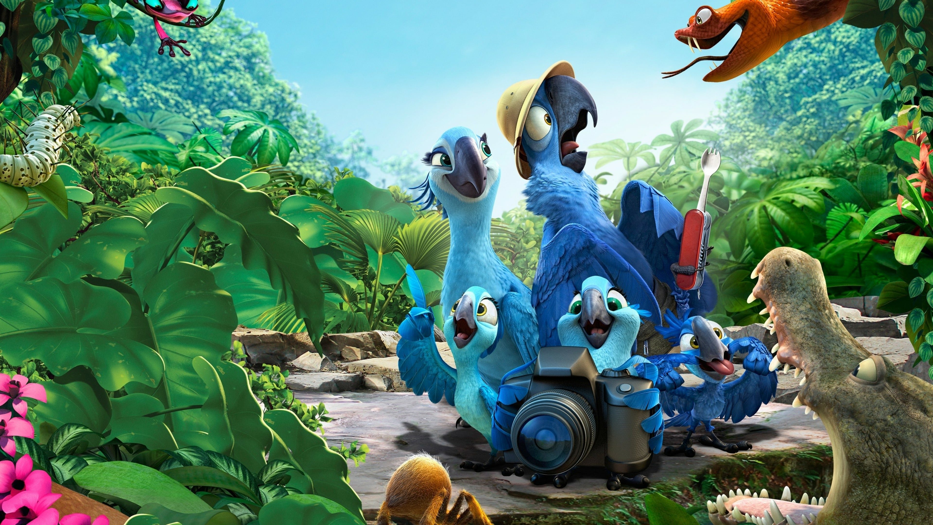 Rio 2 Background