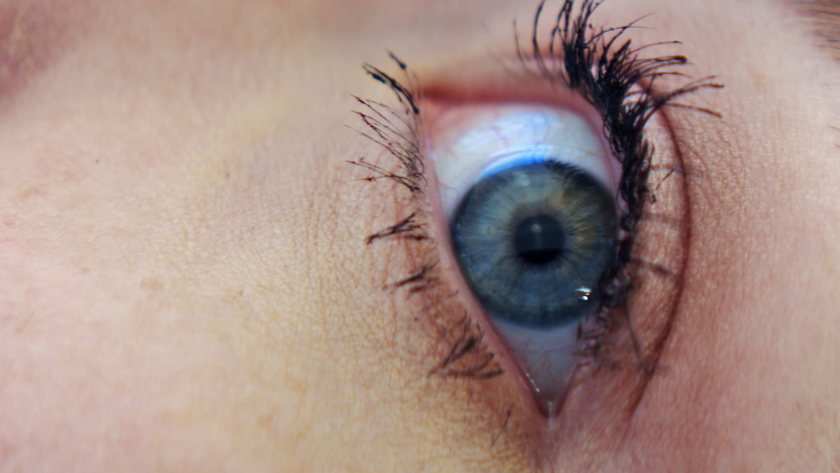 Ava in the End Background