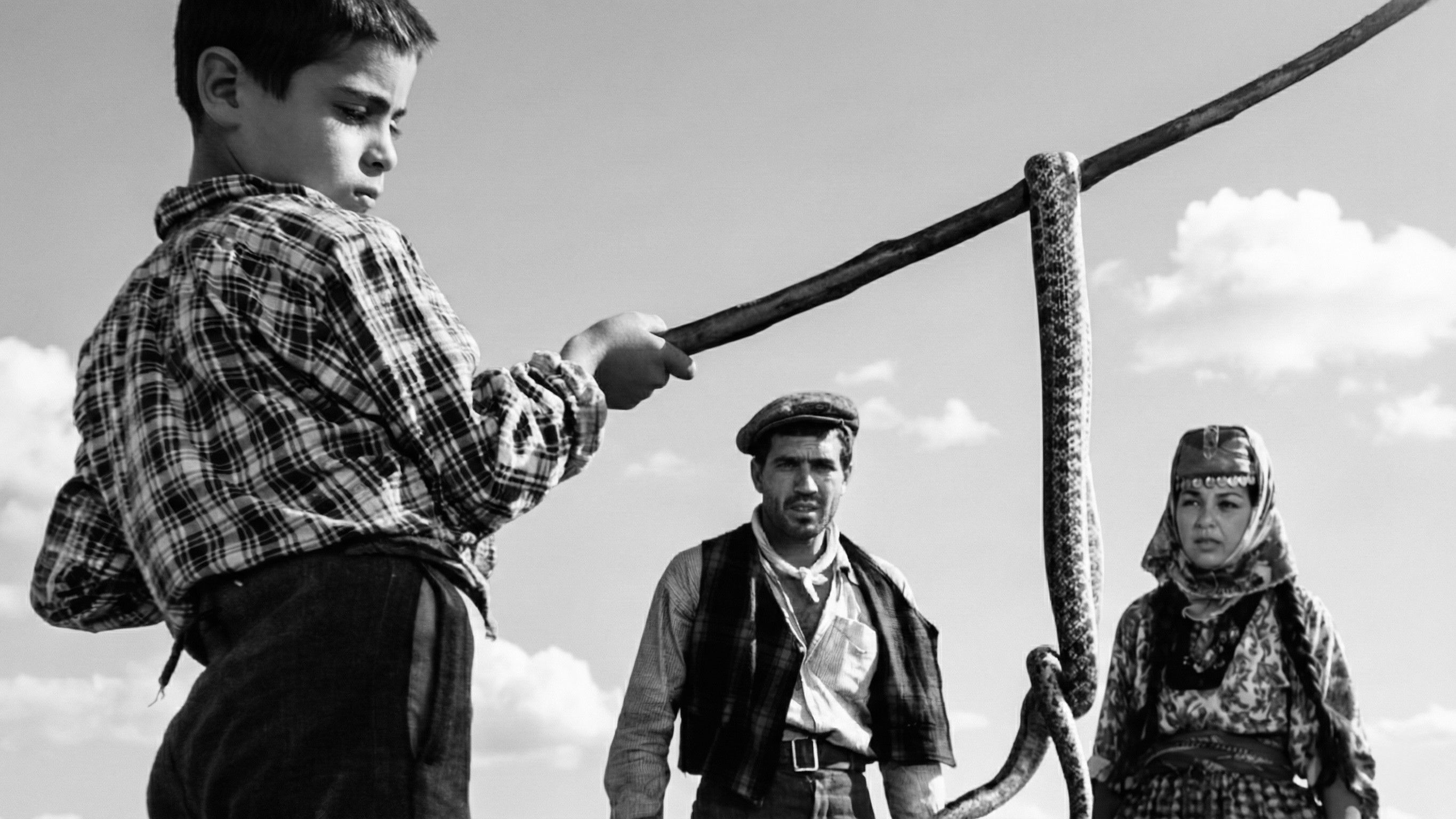 Revenge of the Snakes Background