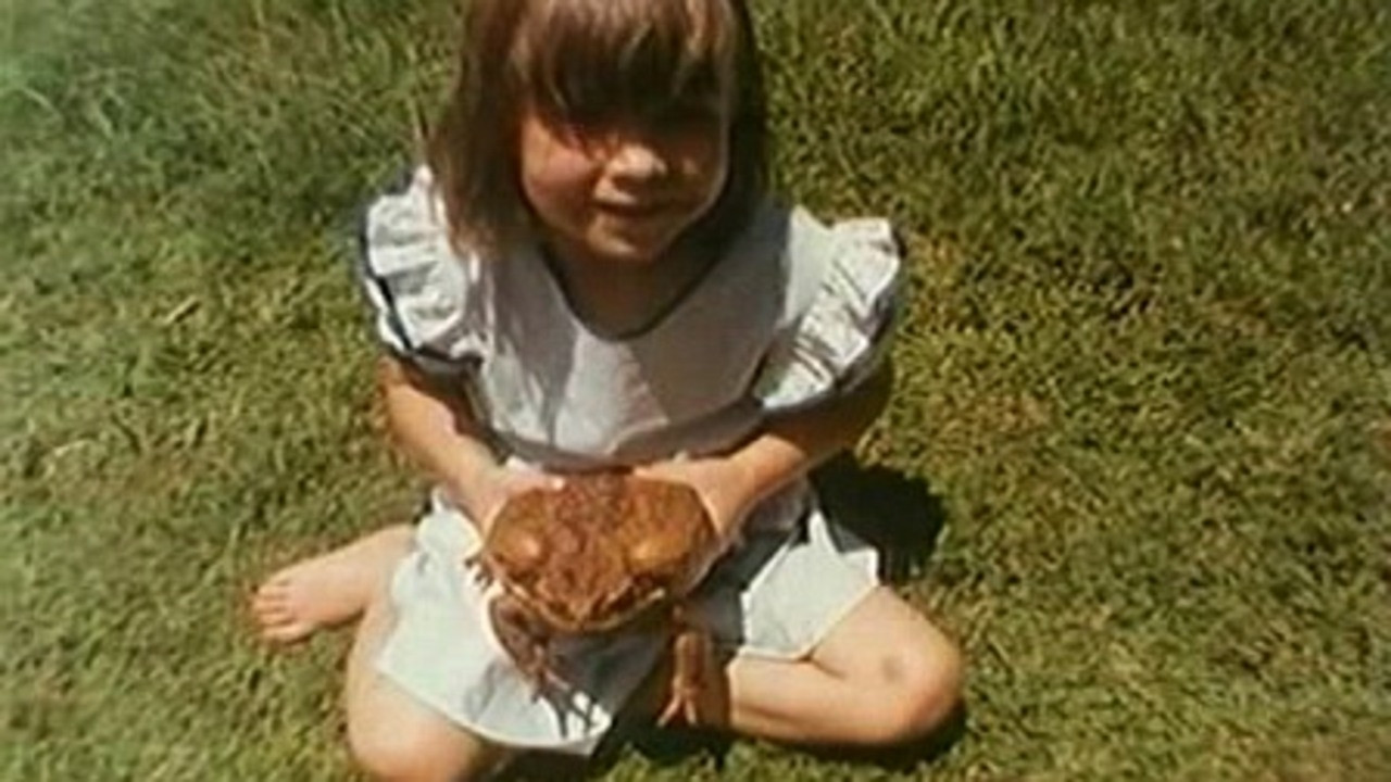 Cane Toads: An Unnatural History Background