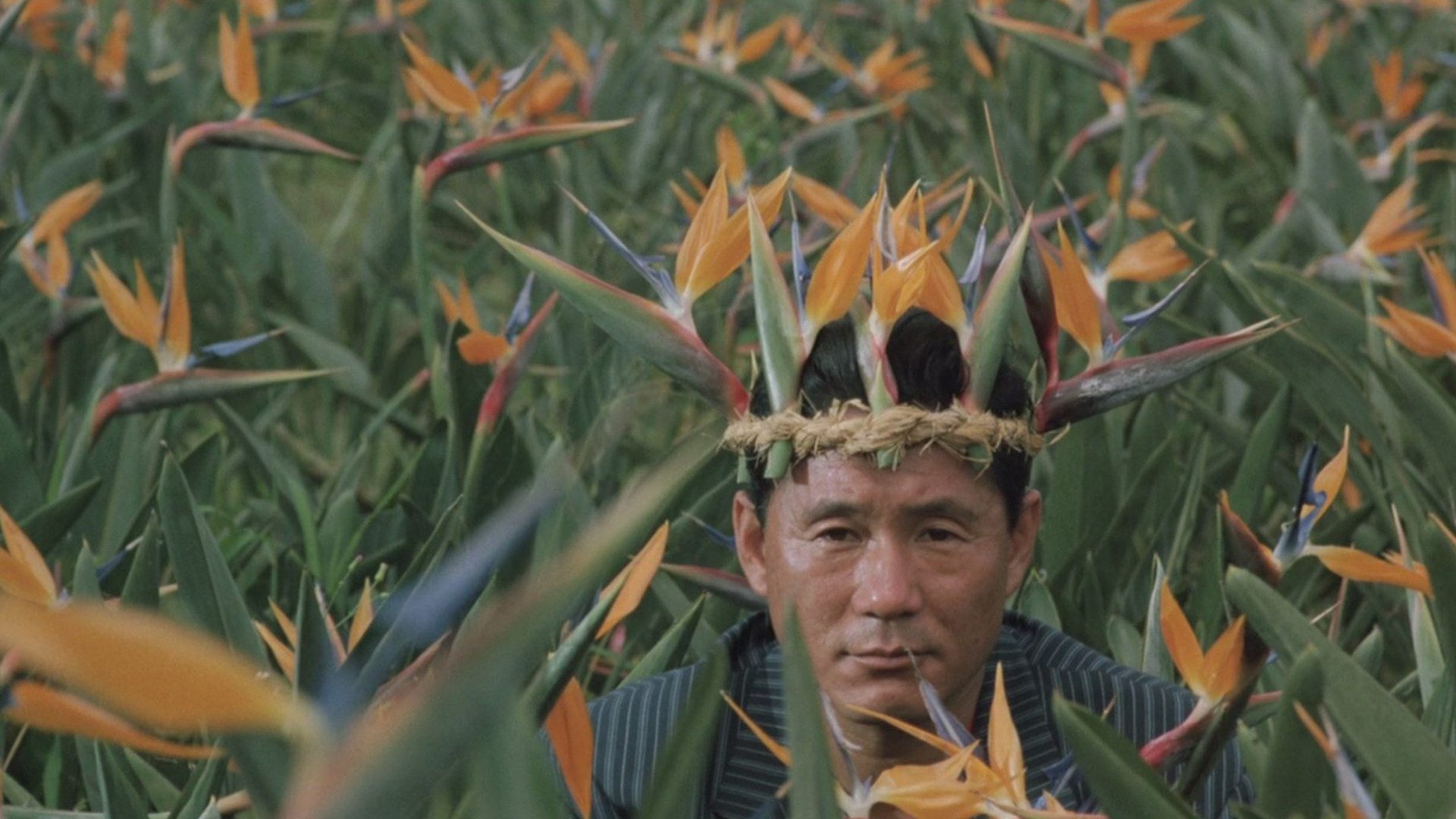 Boiling Point Background