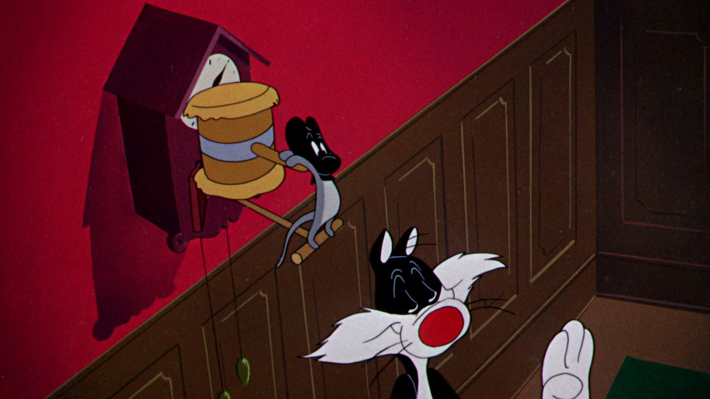 Scaredy Cat Background