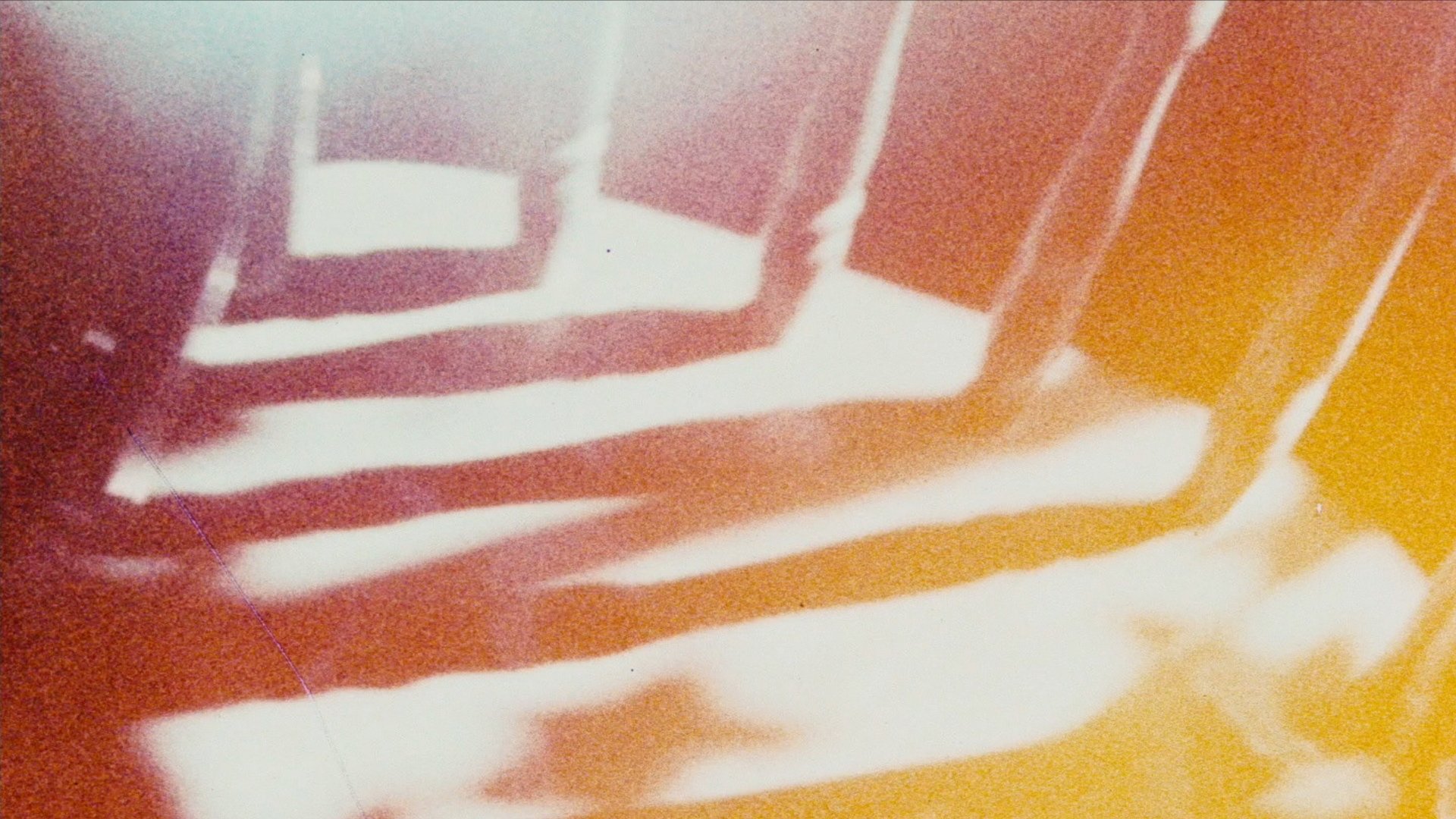 Looking for Mushrooms Background