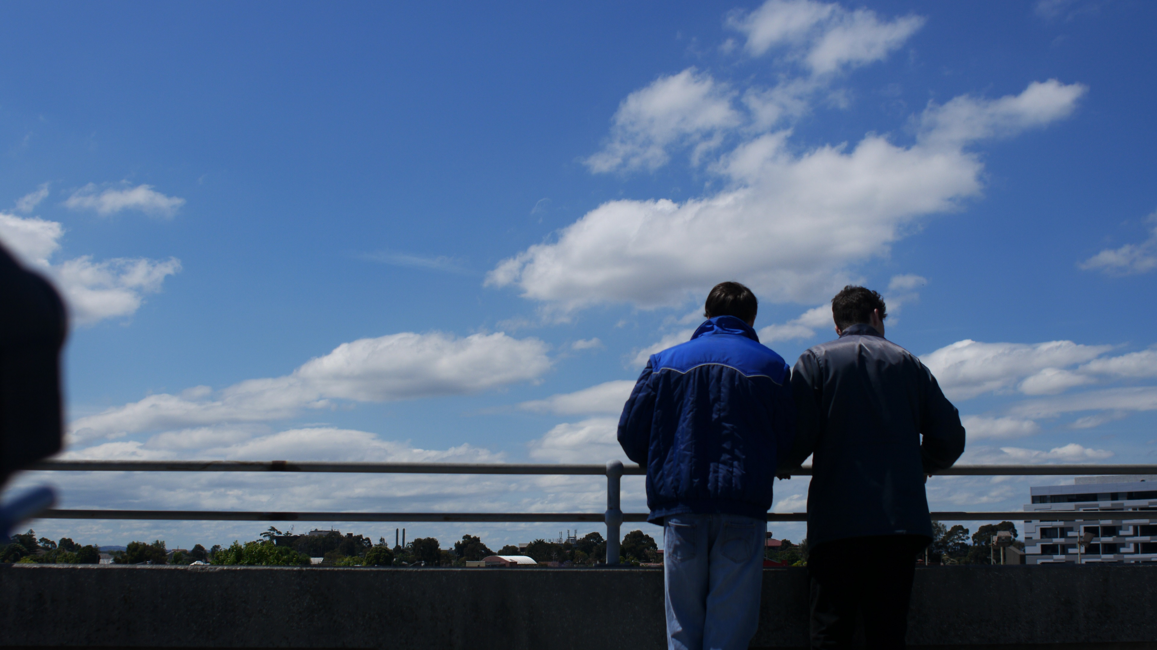 Monster Pies Background