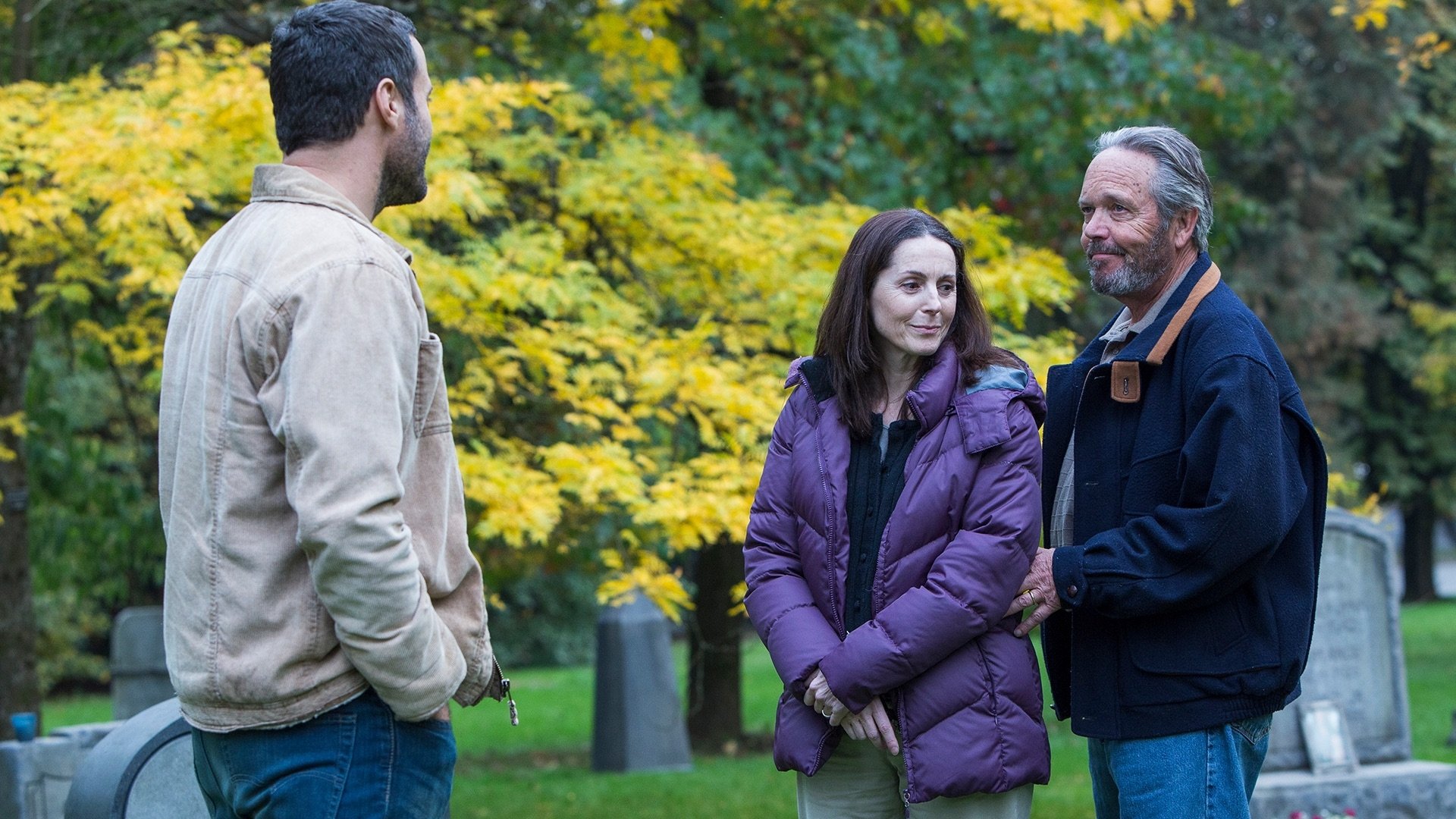 The Wilding Background