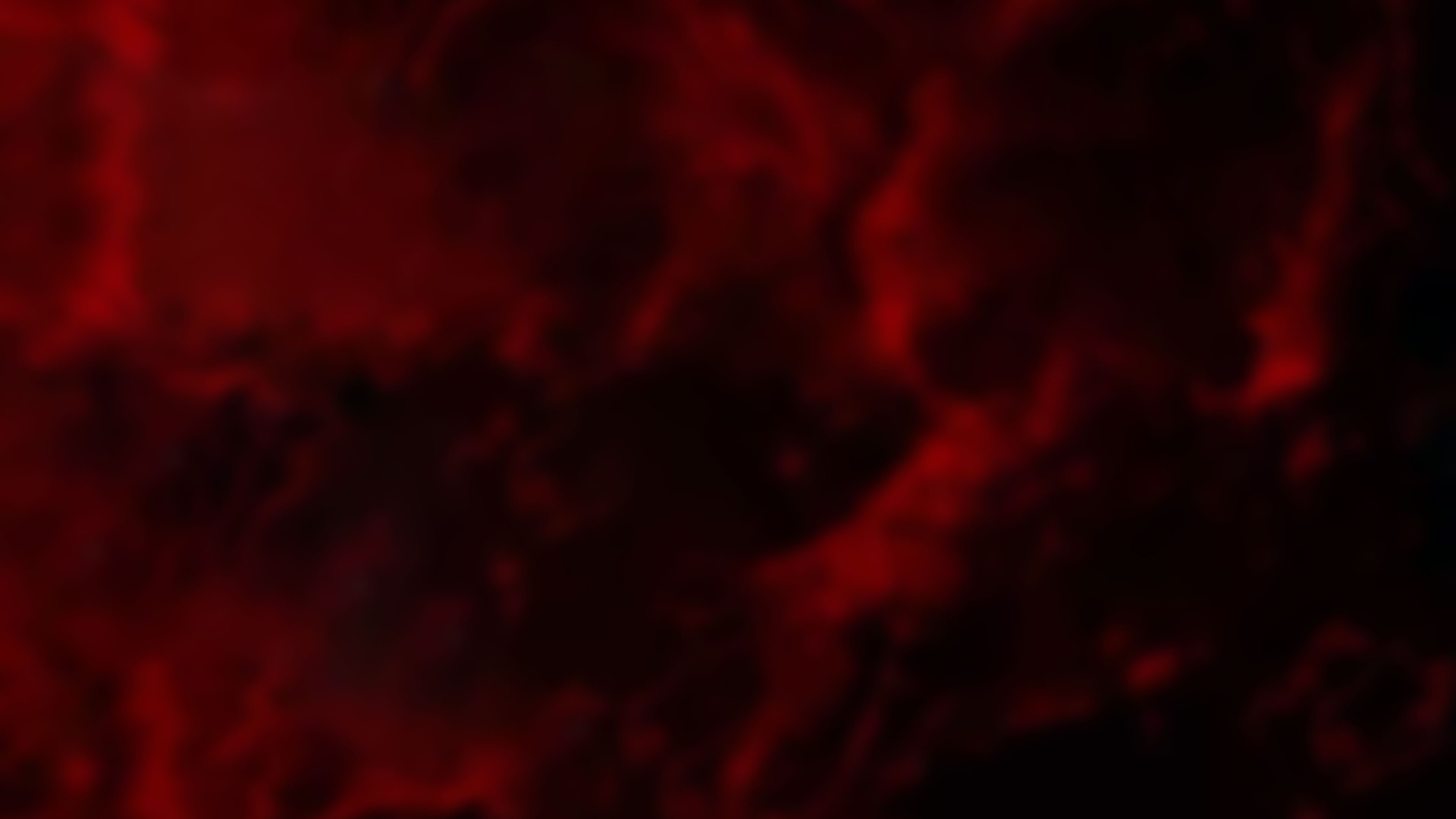 Bathtub Shark Attack Background