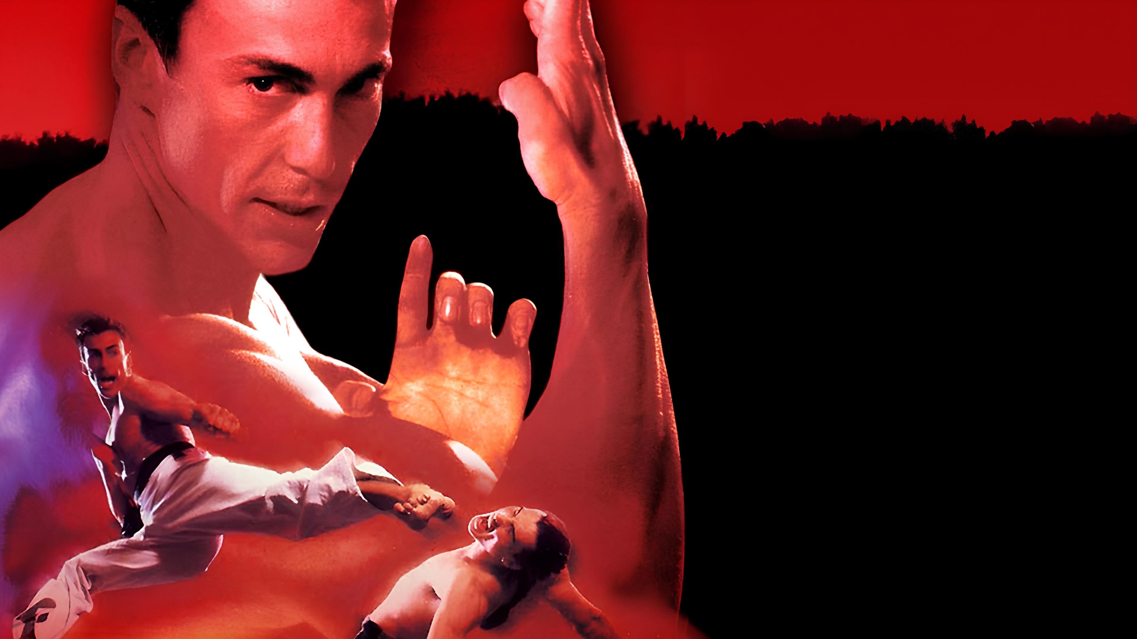 Bloodsport II Background