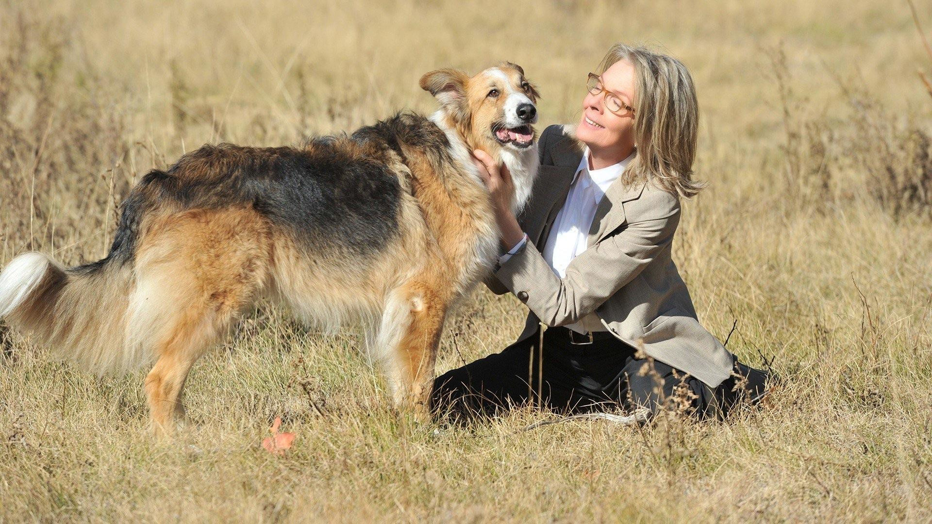 Darling Companion Background