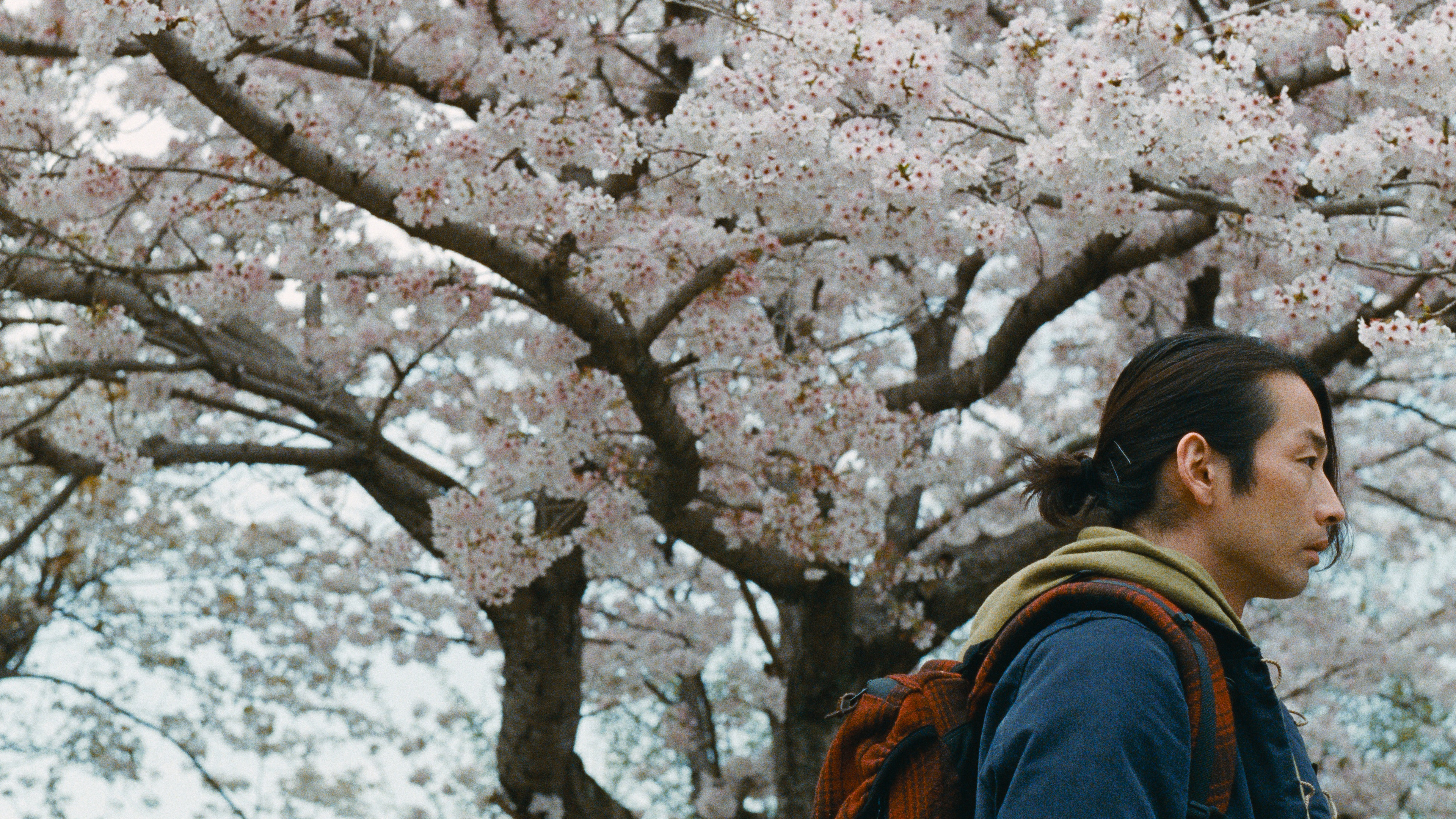 Great Absence Background