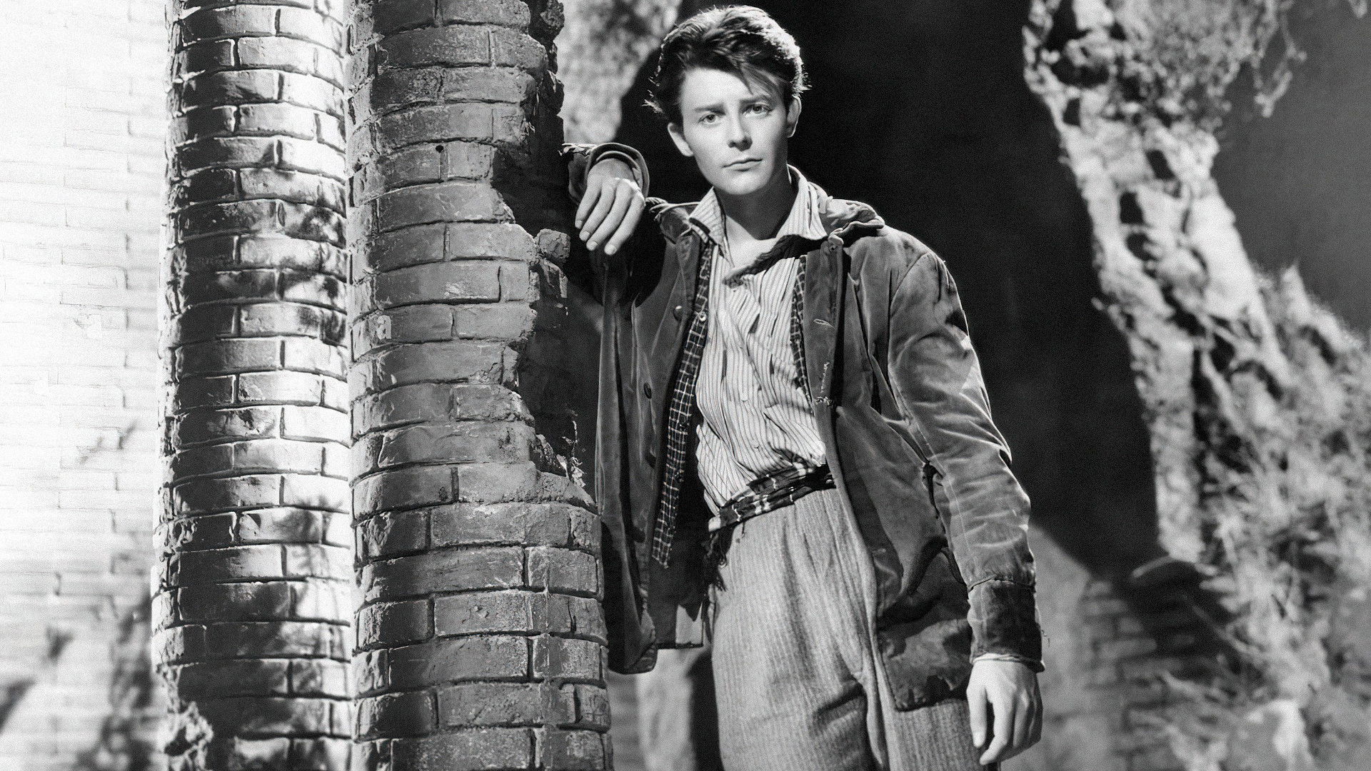 The Beauty of the Devil Background