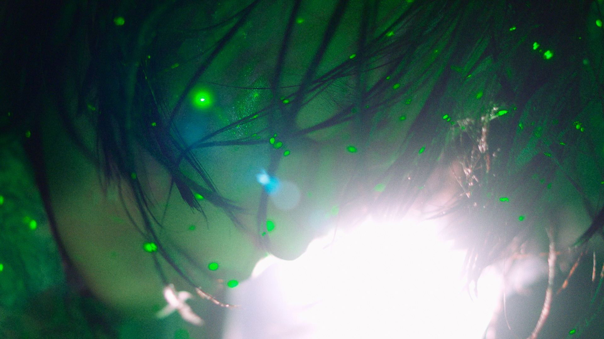 The Fifth Thoracic Vertebra Background