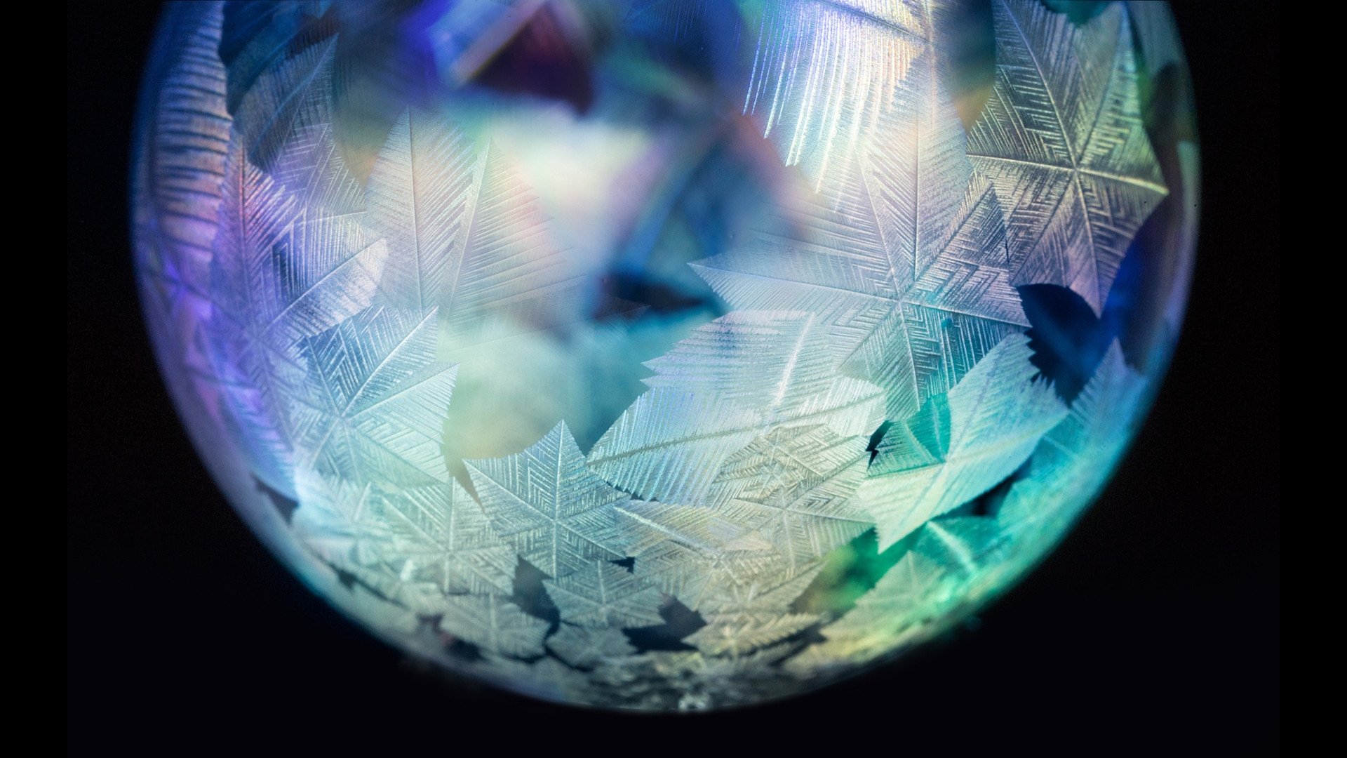 Forces of Nature with Brian Cox Background