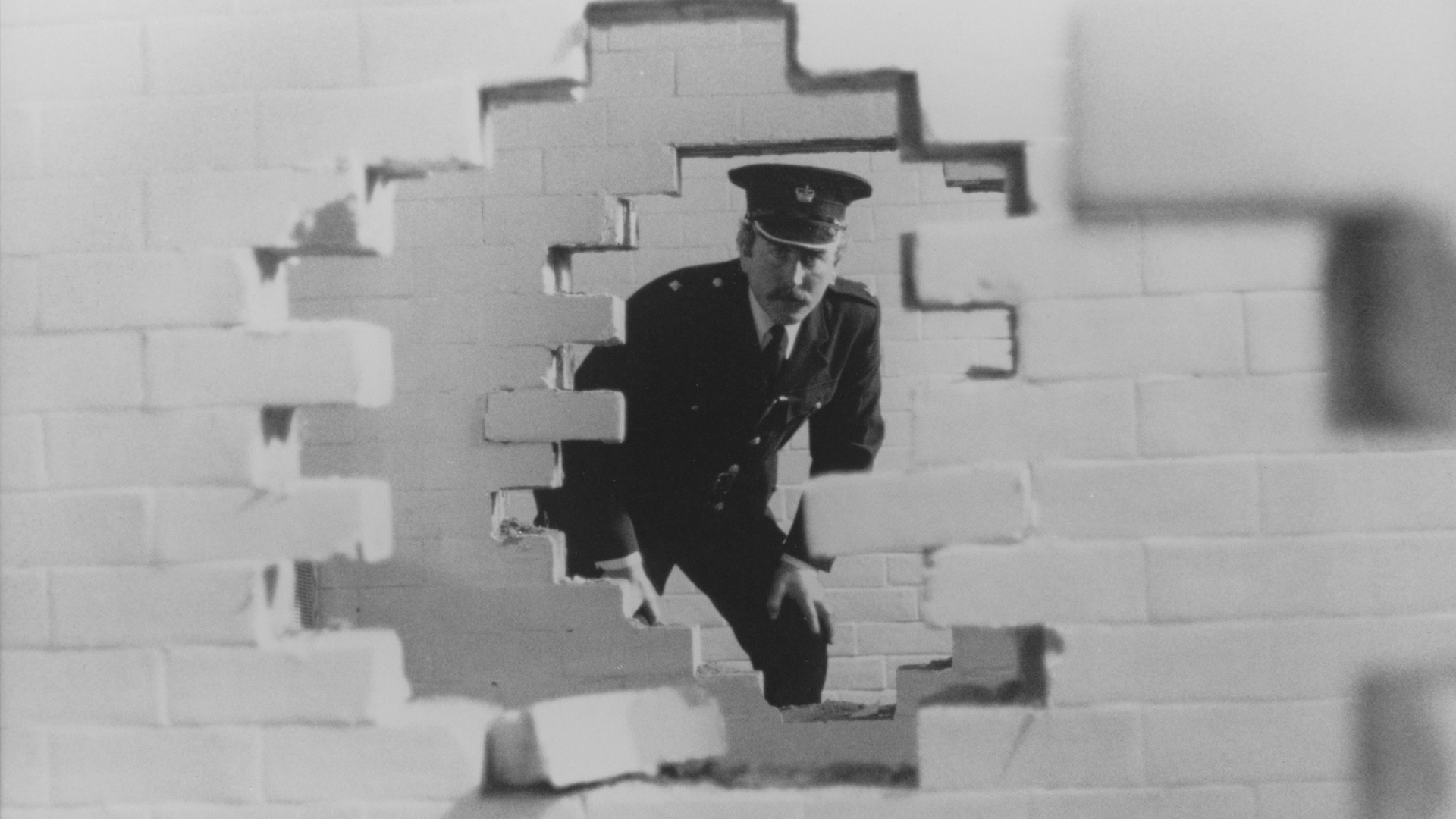 A Sense of Freedom Background