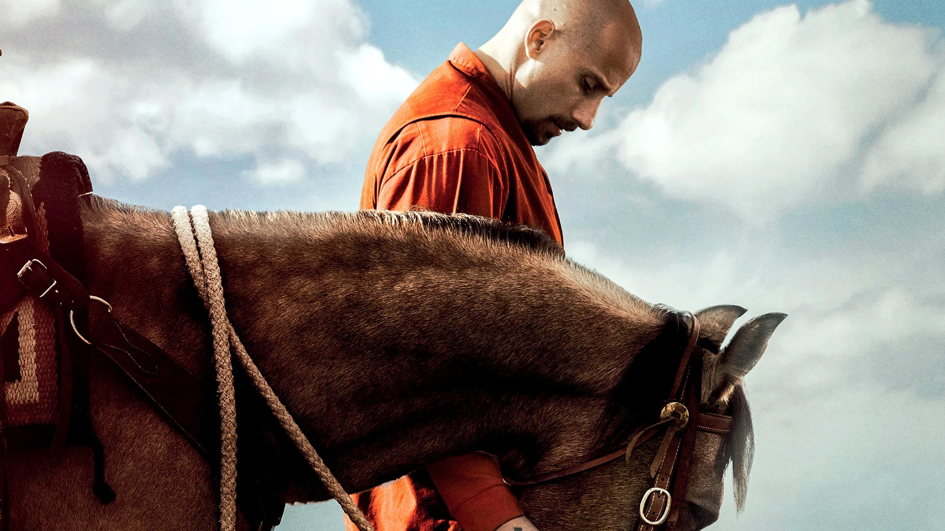 The Mustang Background