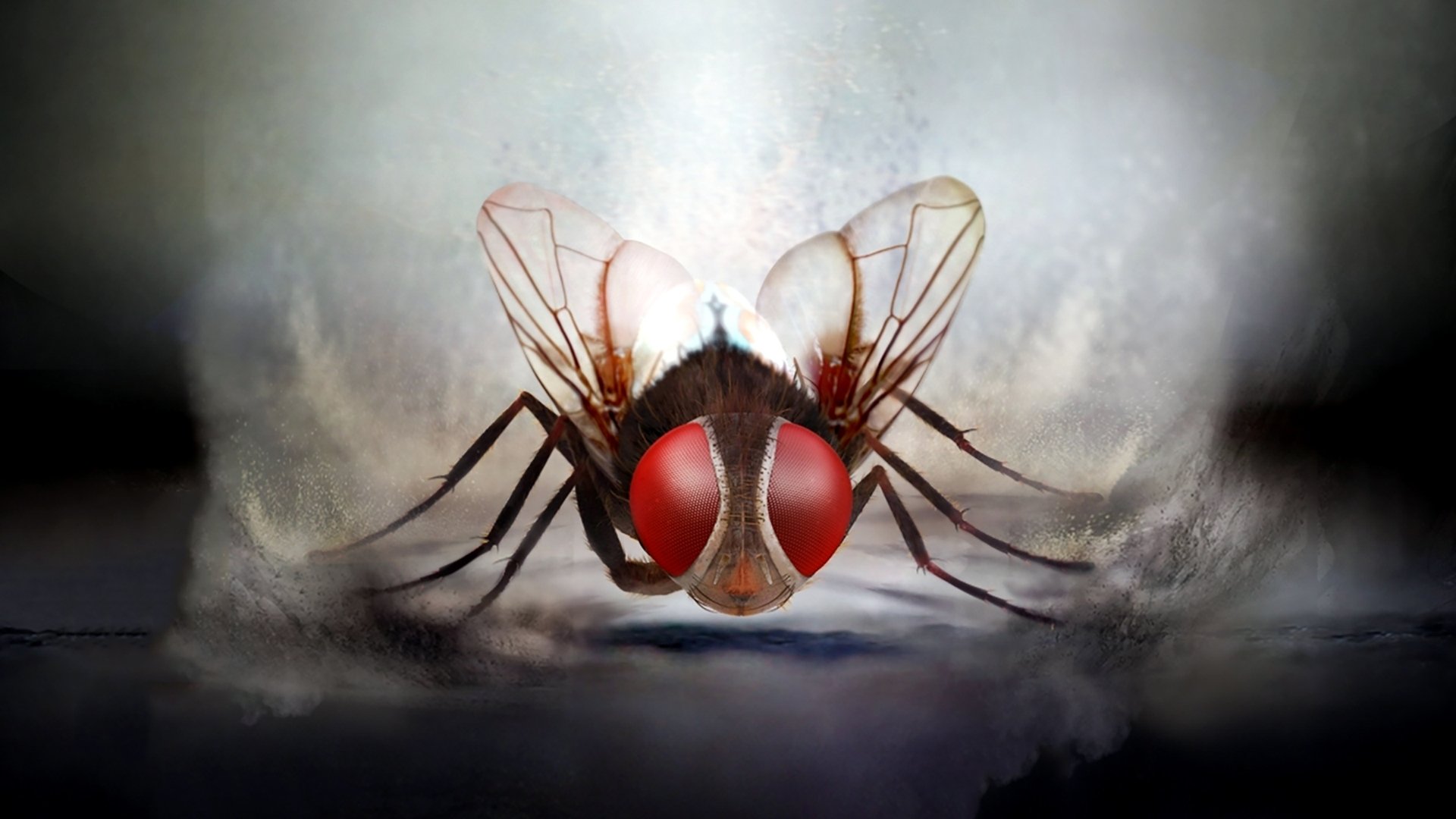 Eega Background