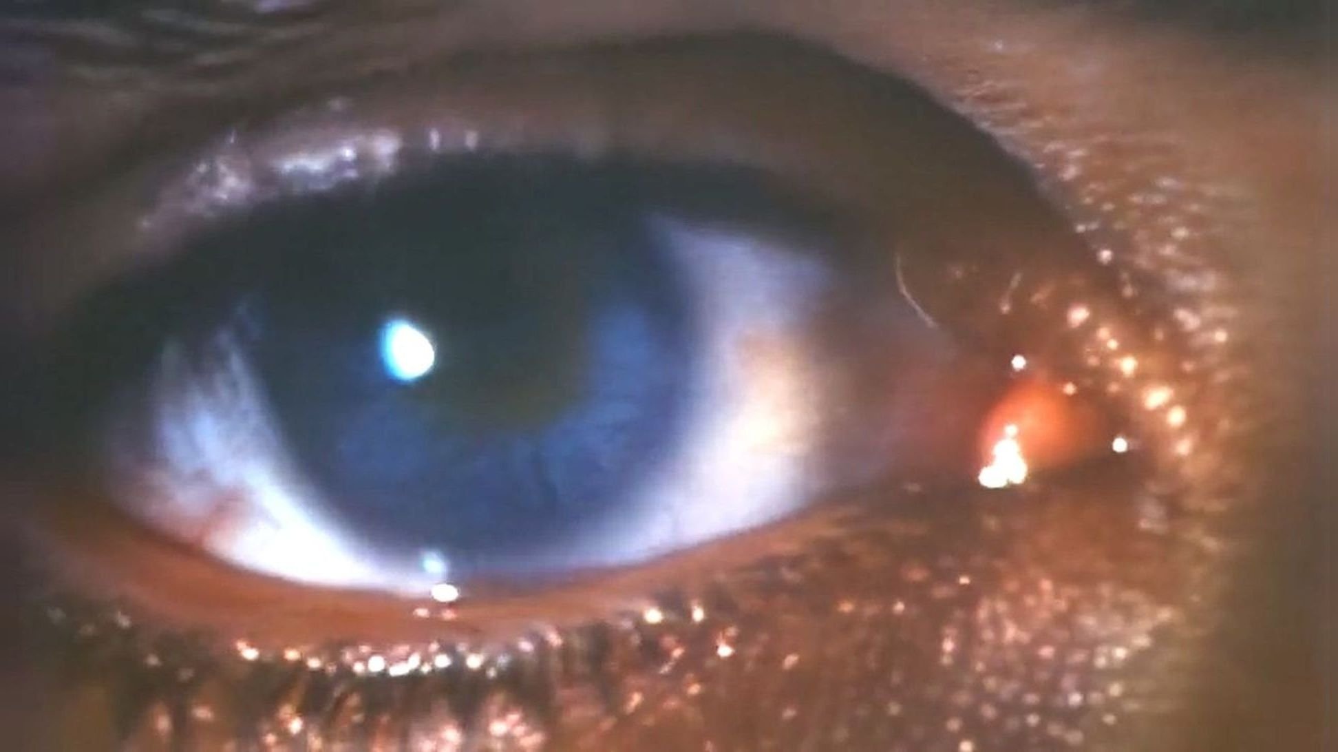 Faces of Death III Background