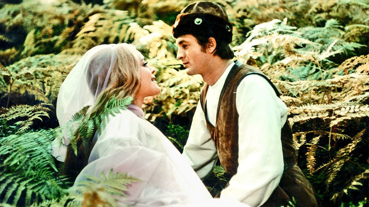 Prince Bajaja Background