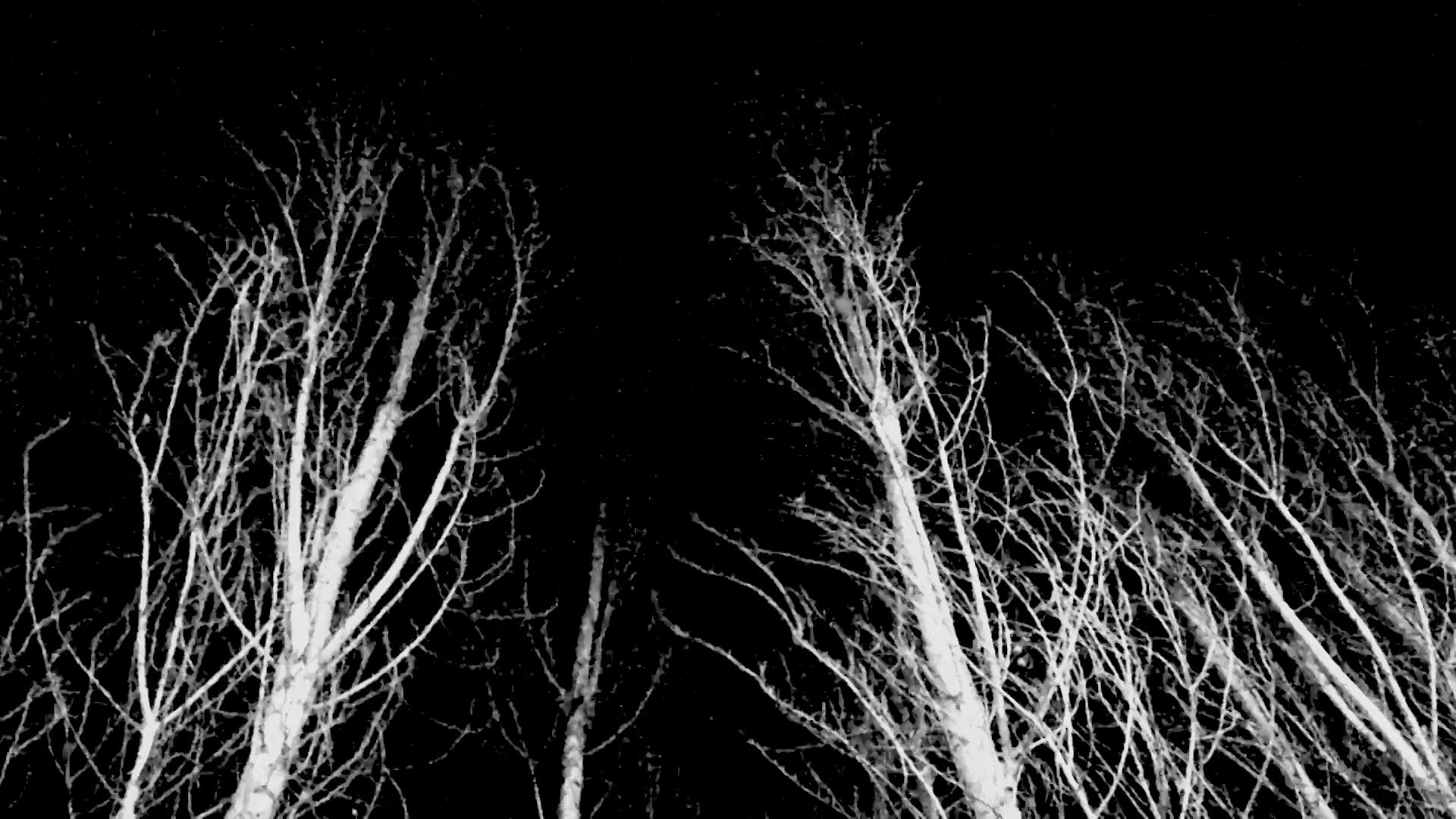 That Which Will Rise from Wind Background