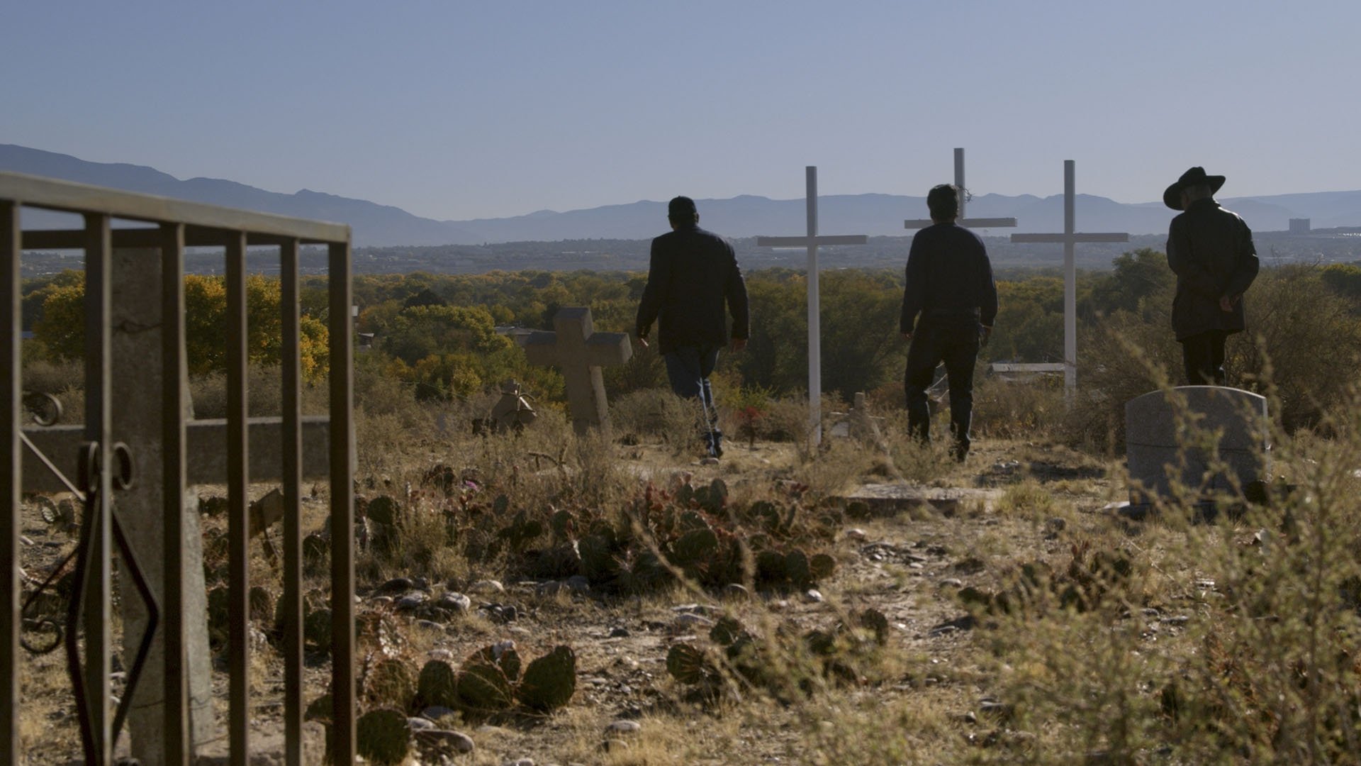 The Last Narc Background