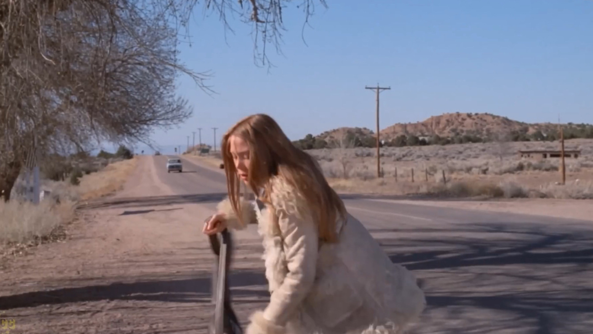 Ginger in the Morning Background