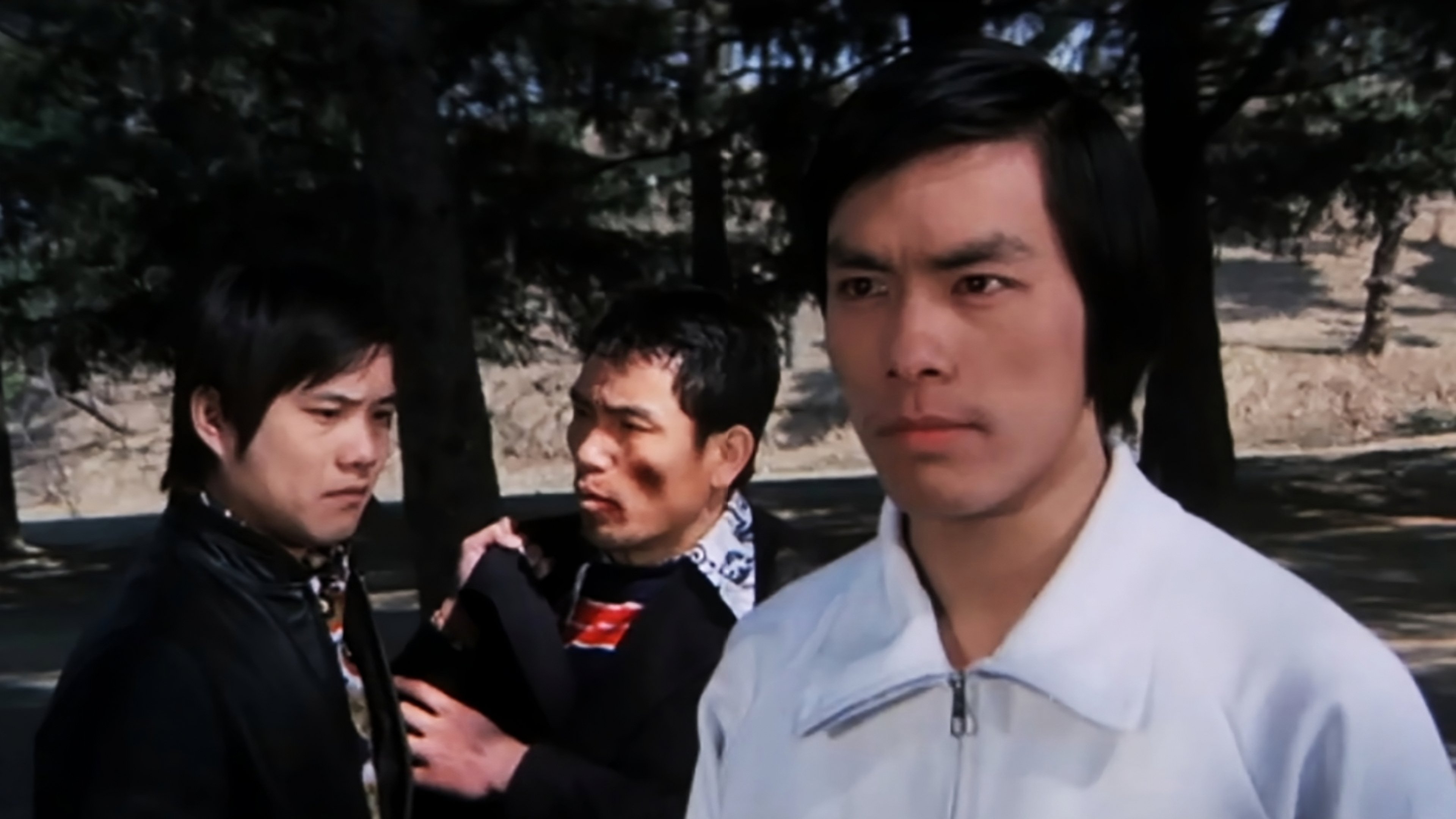 The Dragon Tamers Background