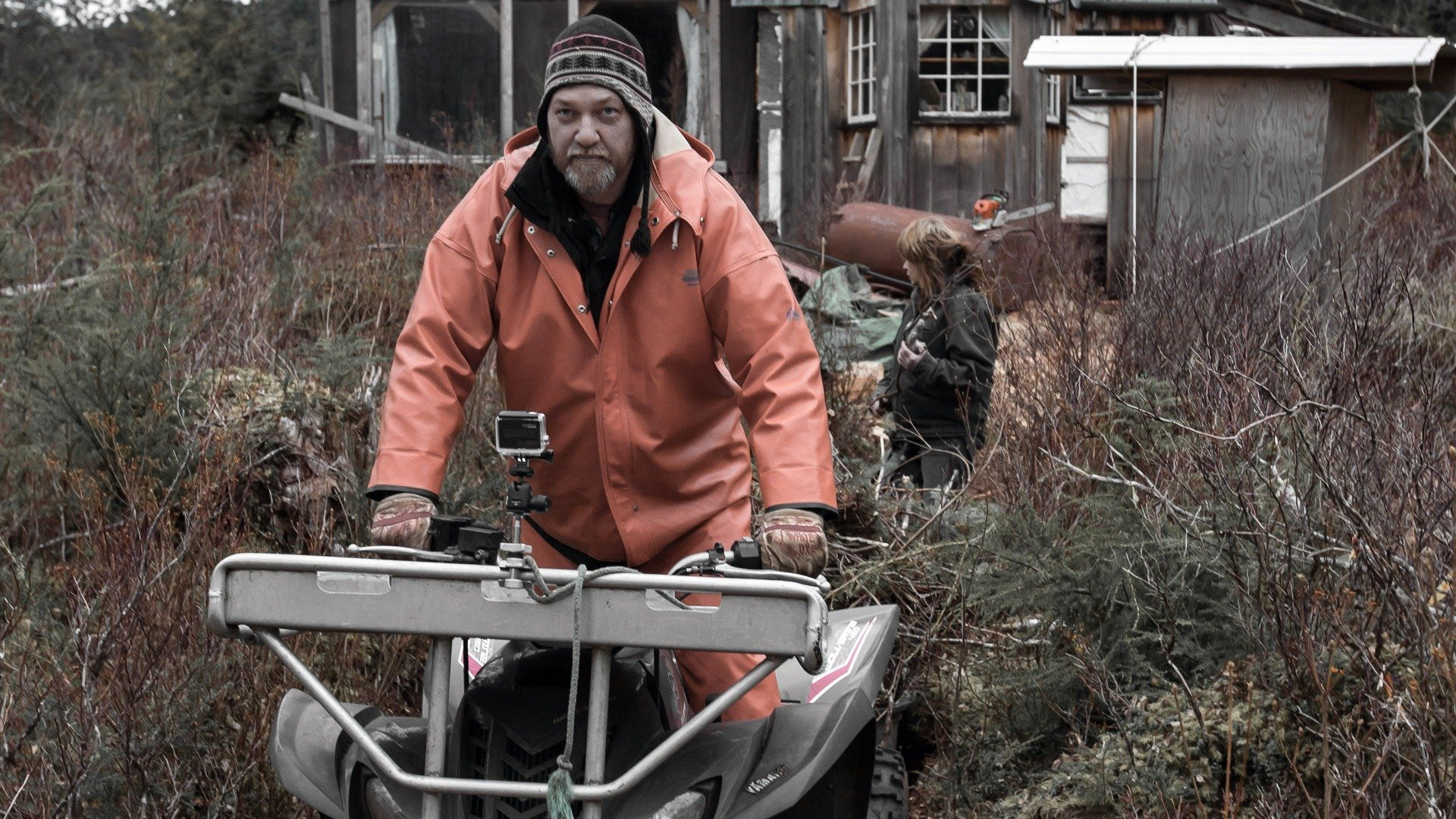 Port Protection Alaska Background