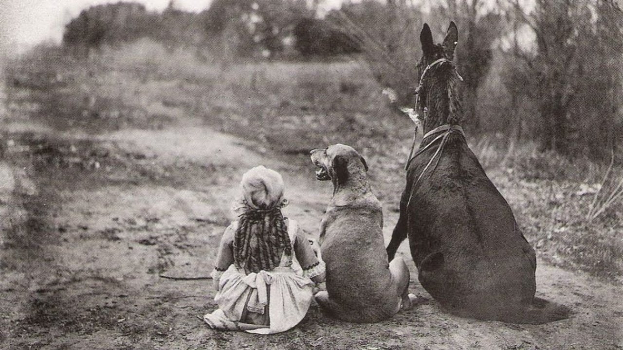 Through the Back Door Background