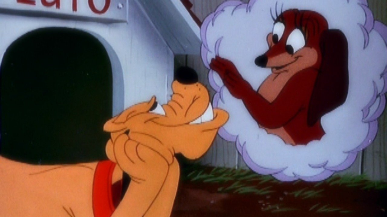 Wonder Dog Background