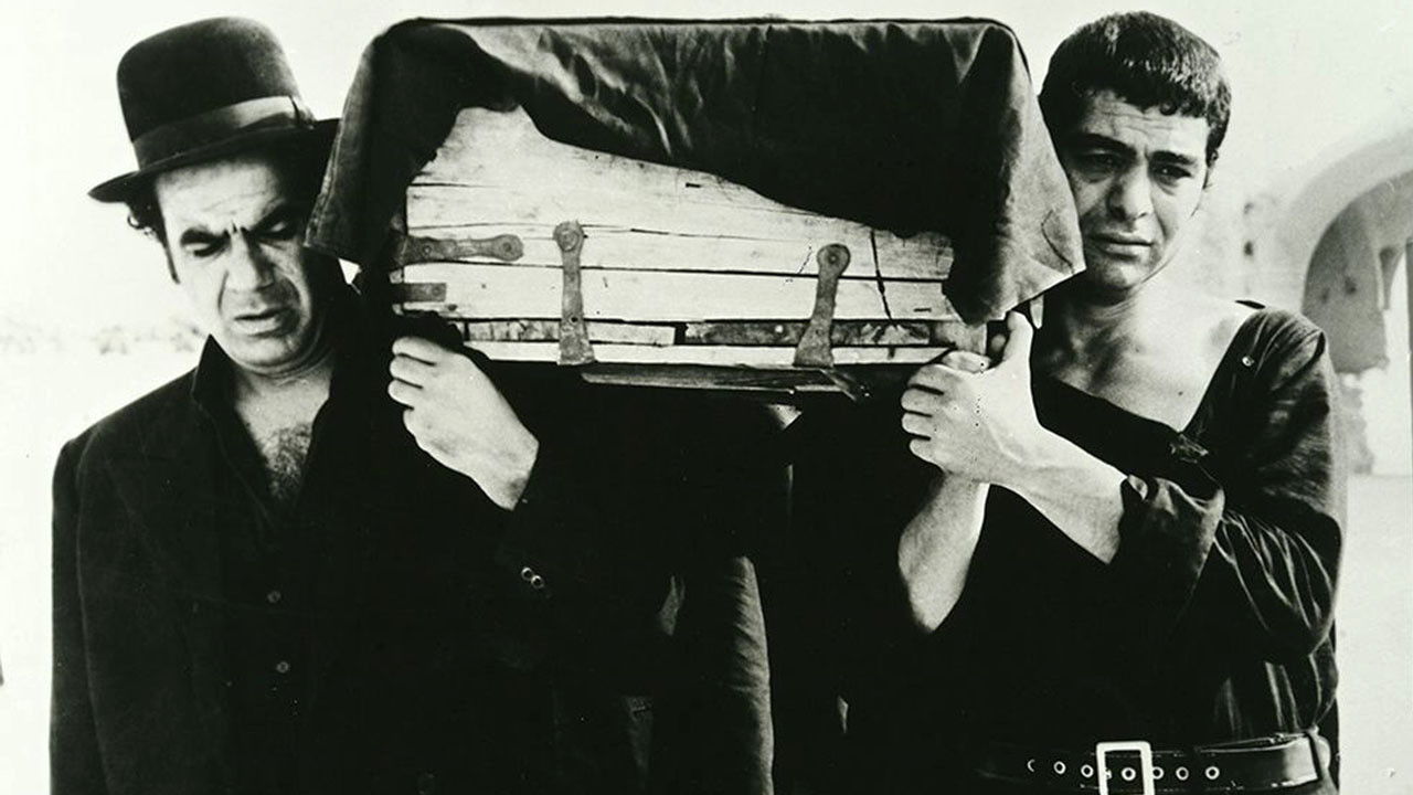 The ring-necked dove Background