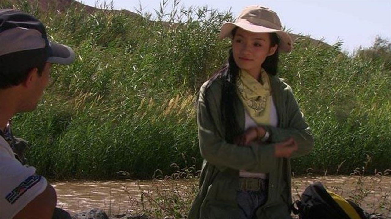 寻找阿依阔勒 Background