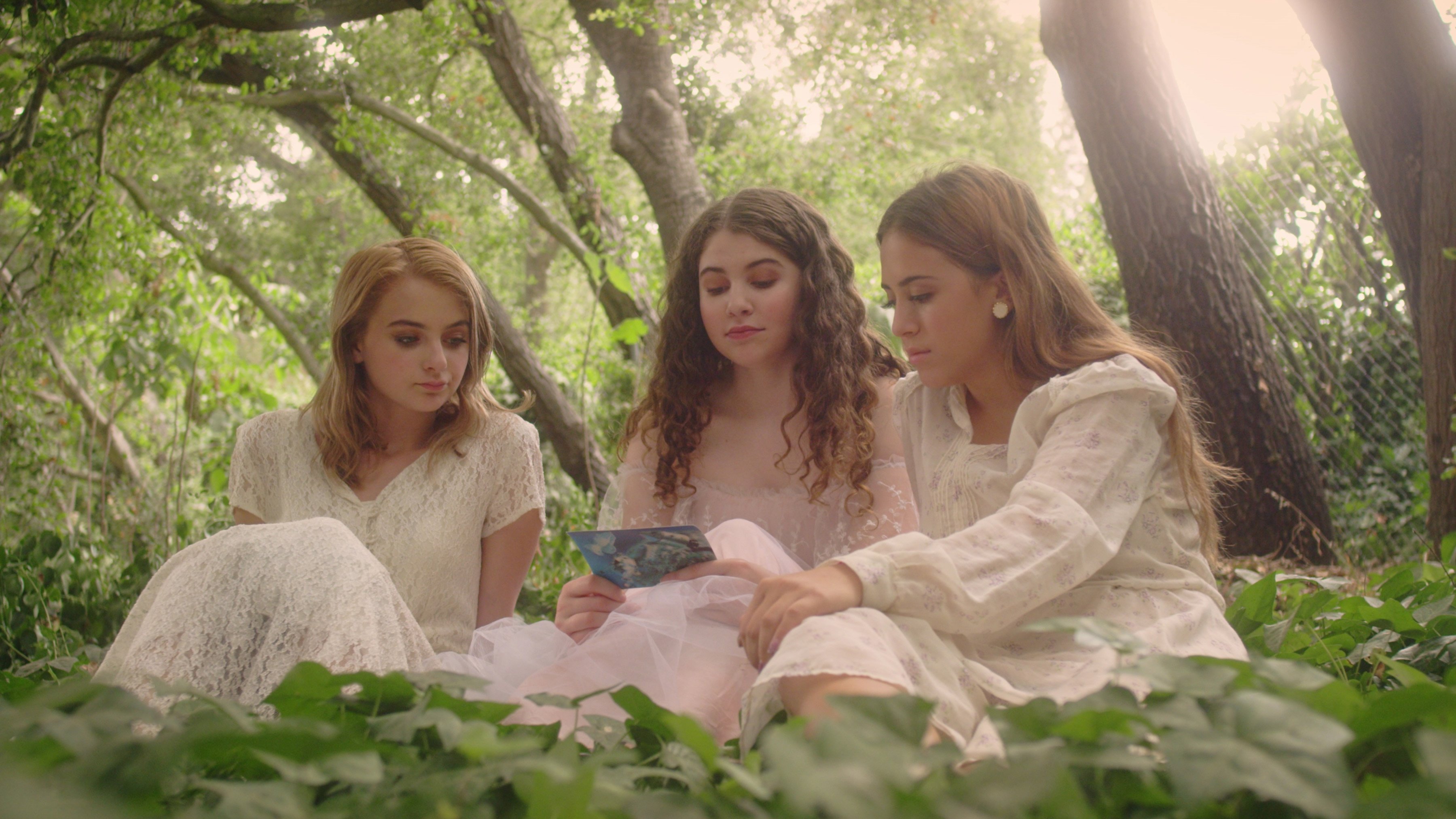 Ham on Rye Background