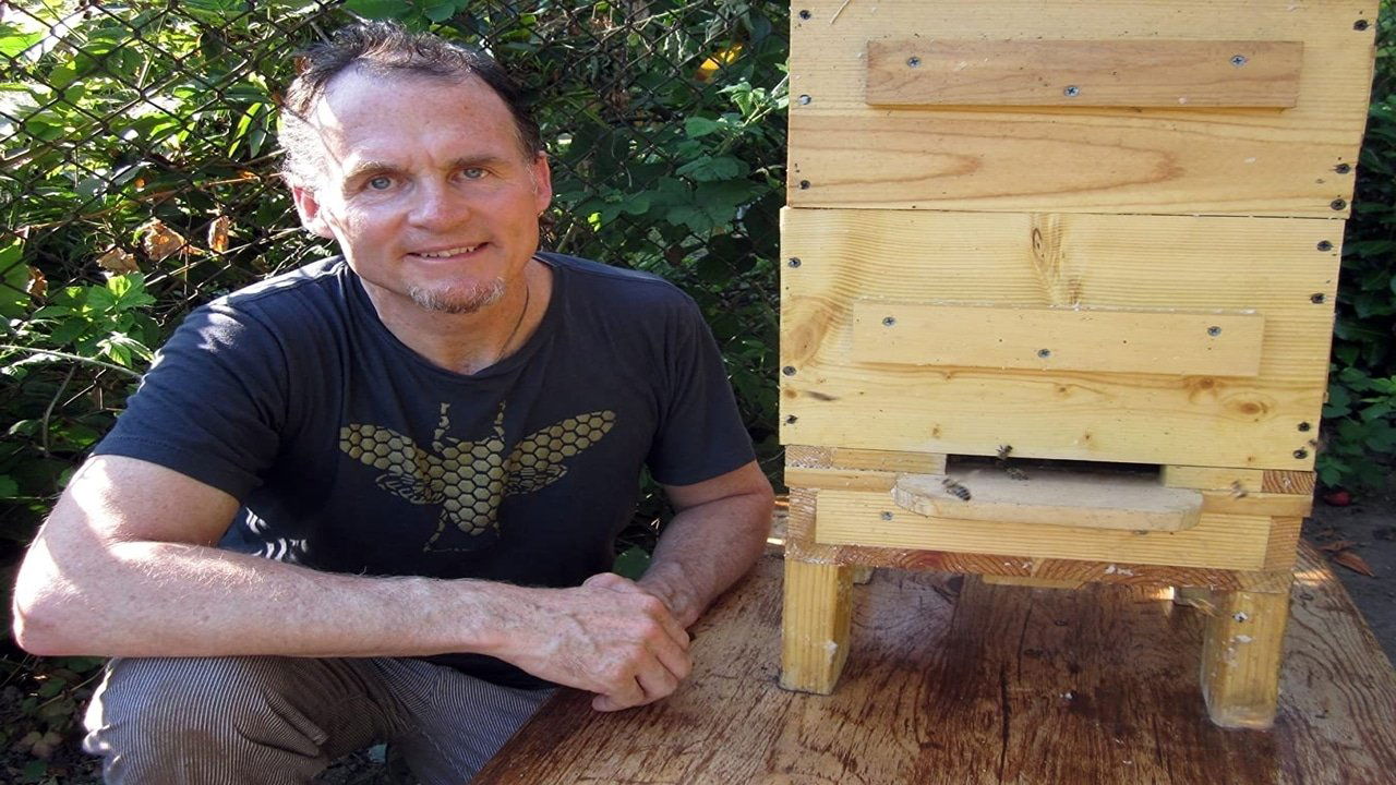 Queen of the Sun: What Are the Bees Telling Us?‎ Background