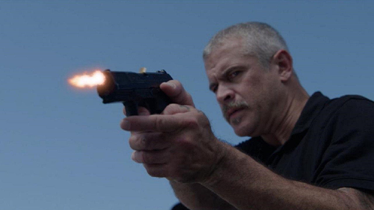 Bull Shark 3 Background