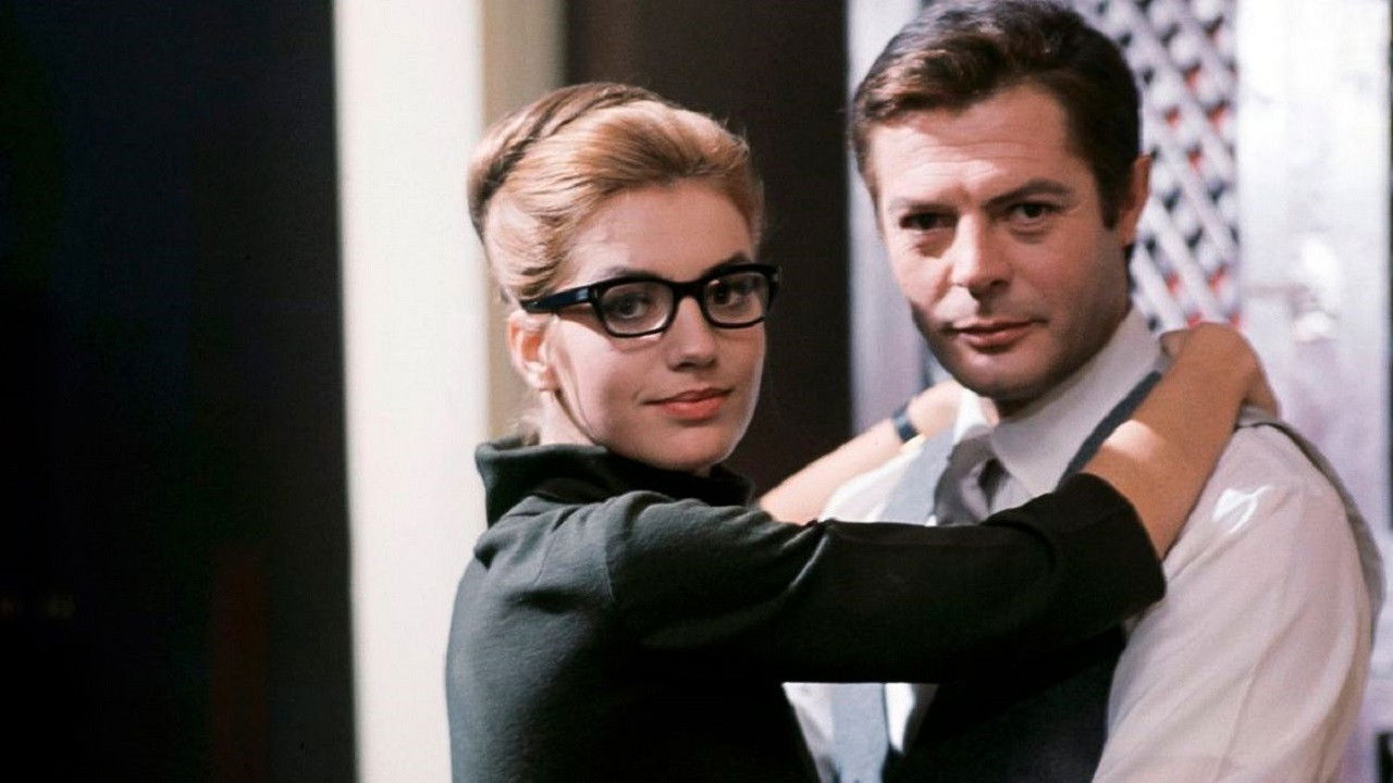 Kiss the Other Sheik Background