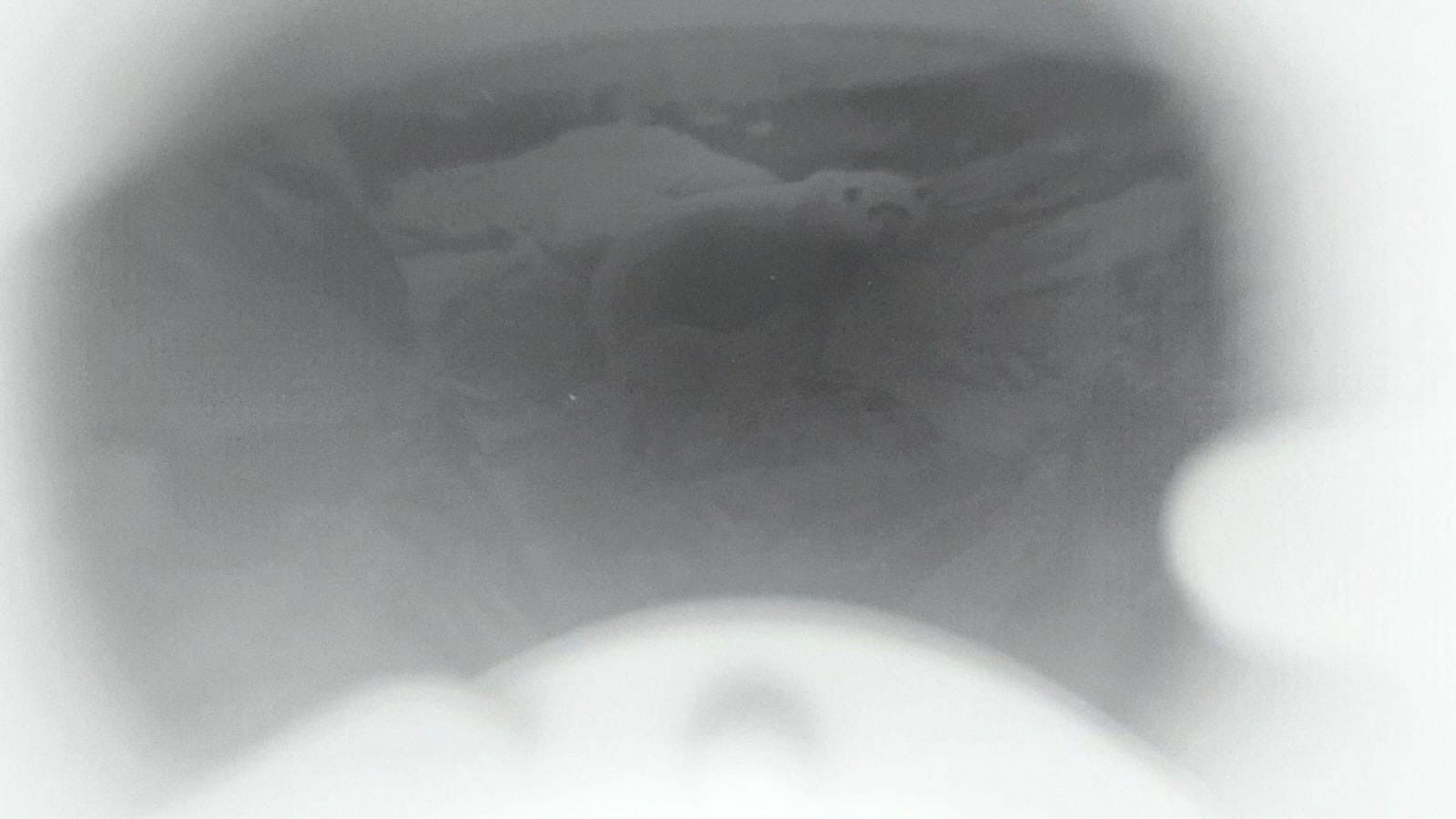 Untitled 2 Background