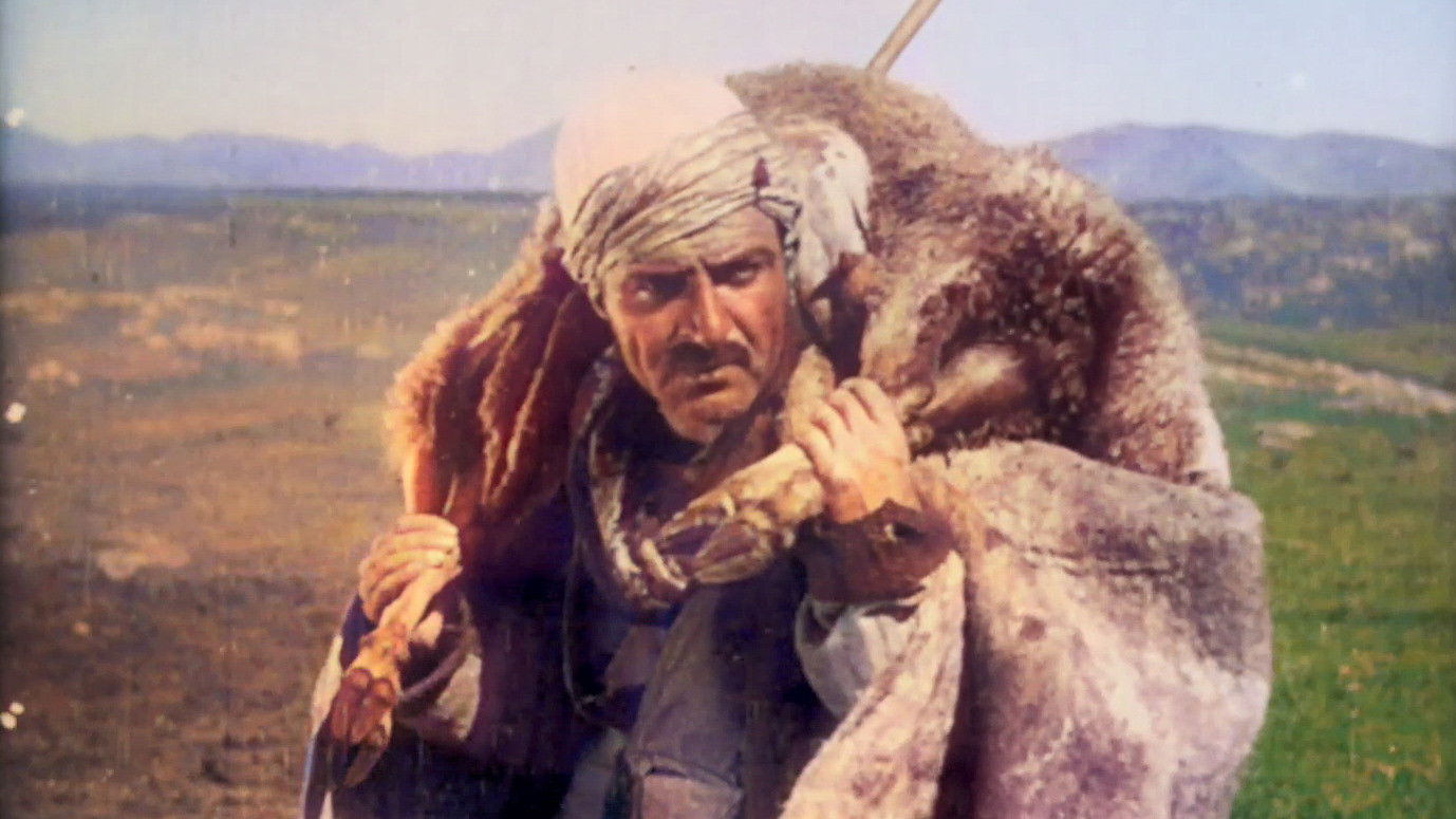 Krder-Ezidner Background