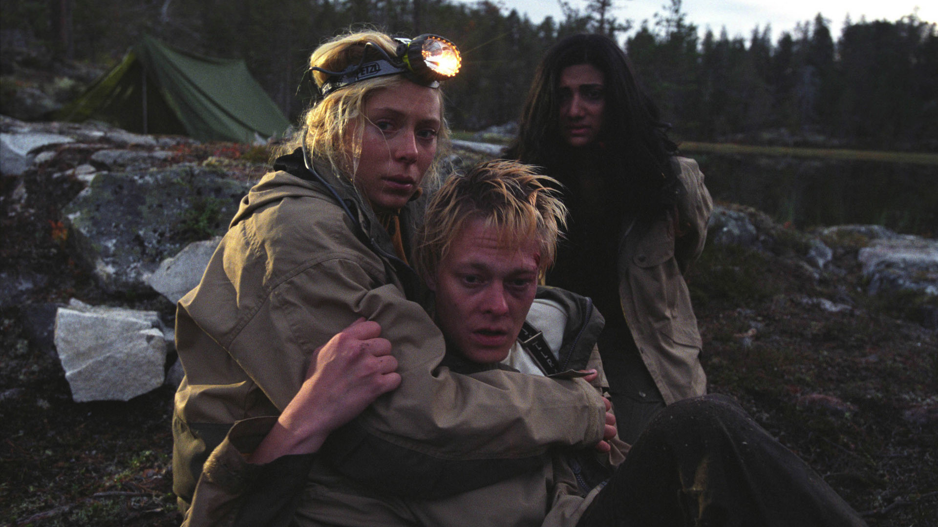 Dark Woods Background