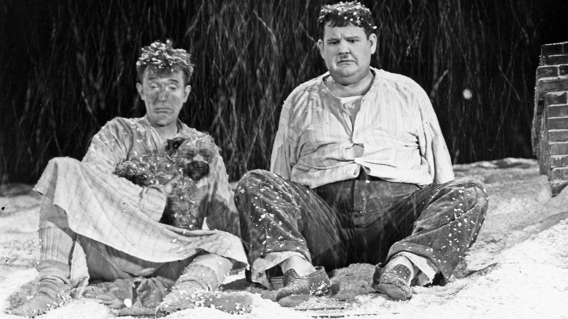 Laughing Gravy Background