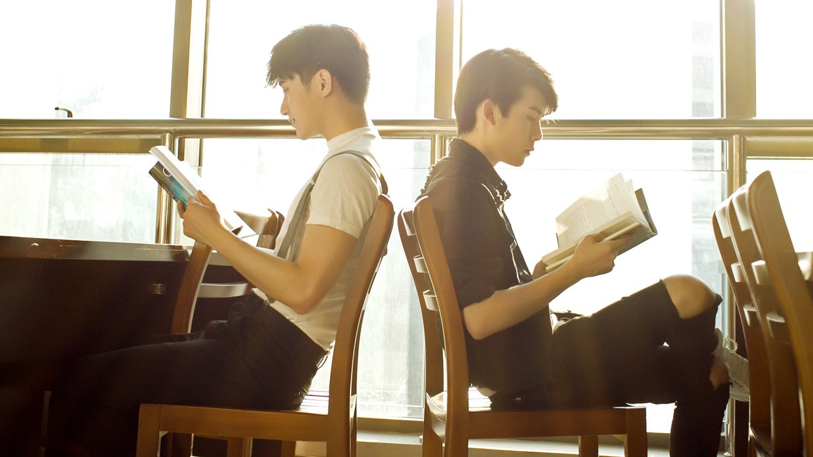 The Fairy Fox Background