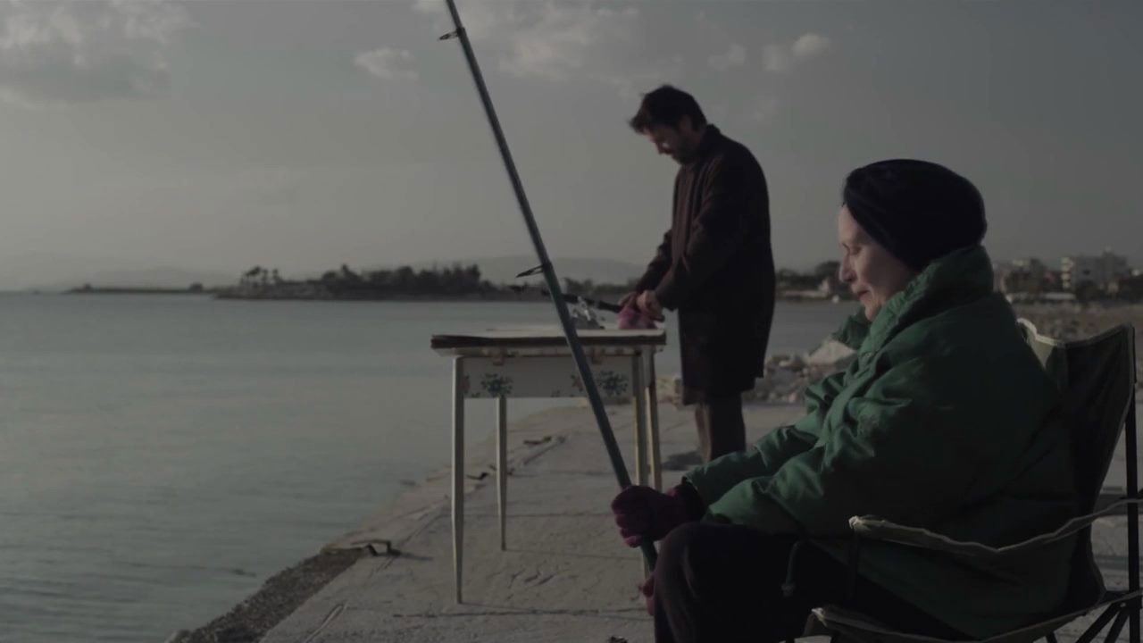 Wild Duck Background