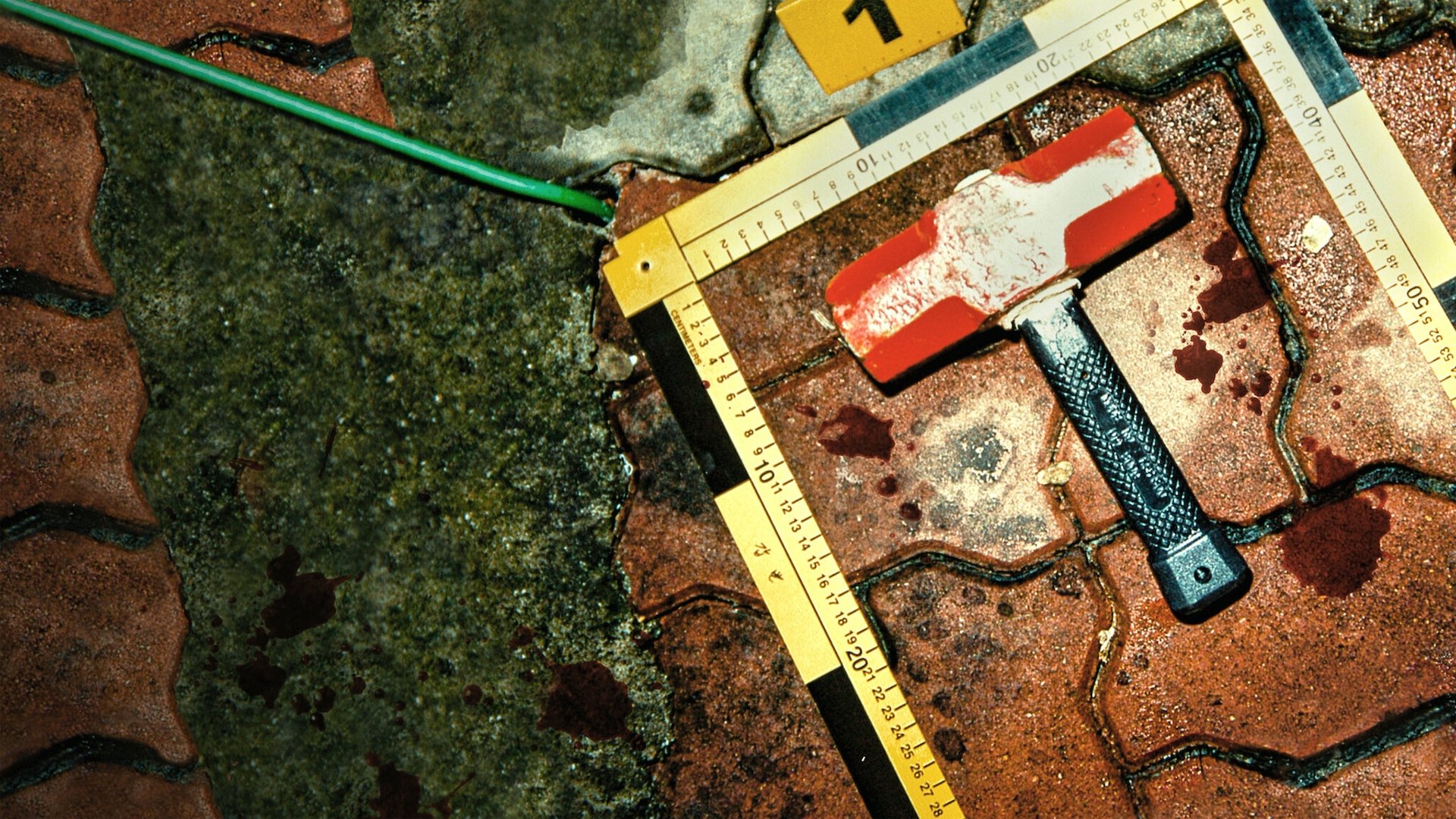 The Raincoat Killer: Chasing a Predator in Korea Background