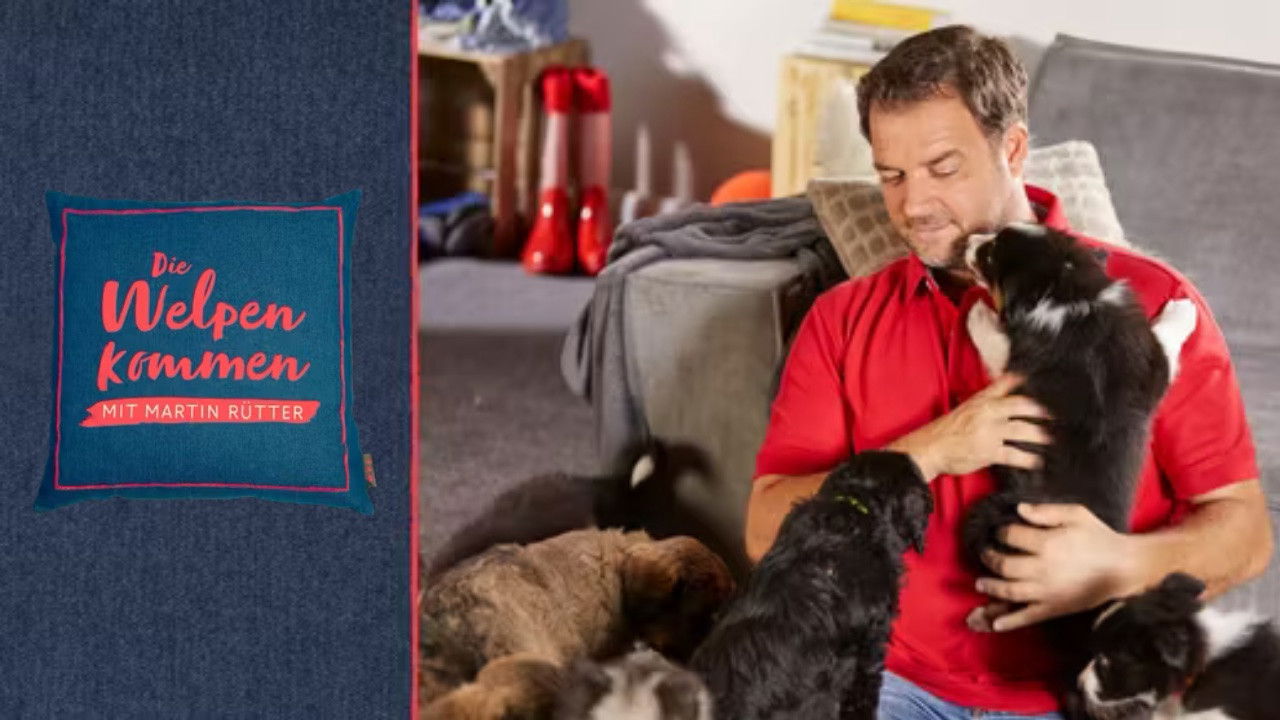 Martin Rütter – Die Welpen kommen Background