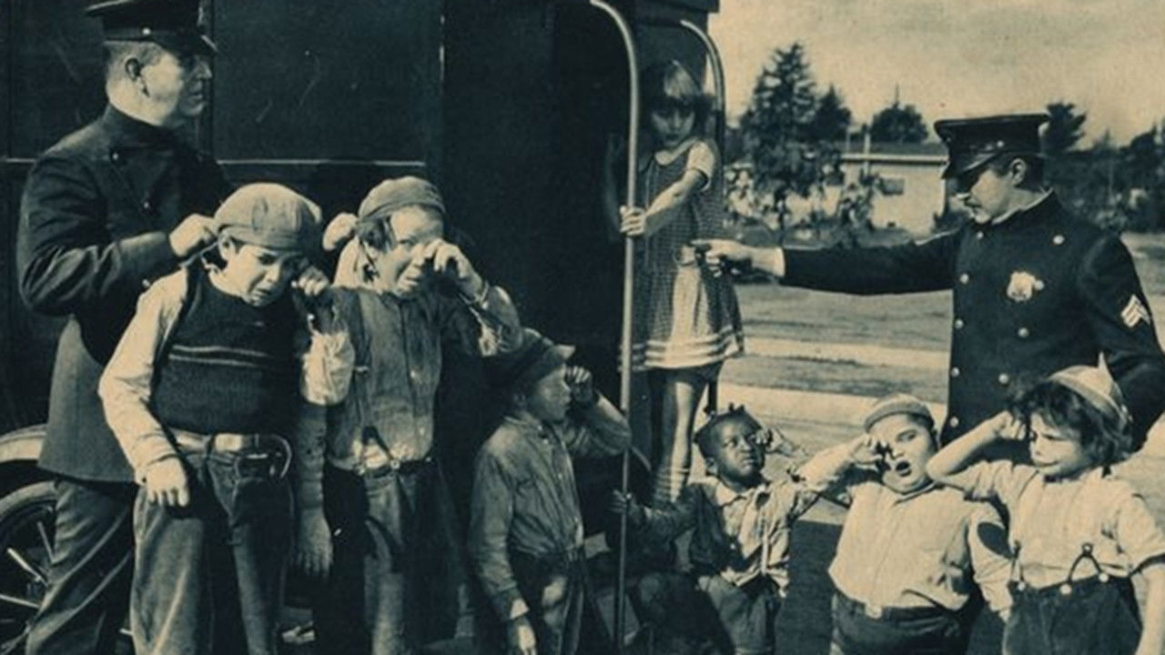 Monkey Business Background