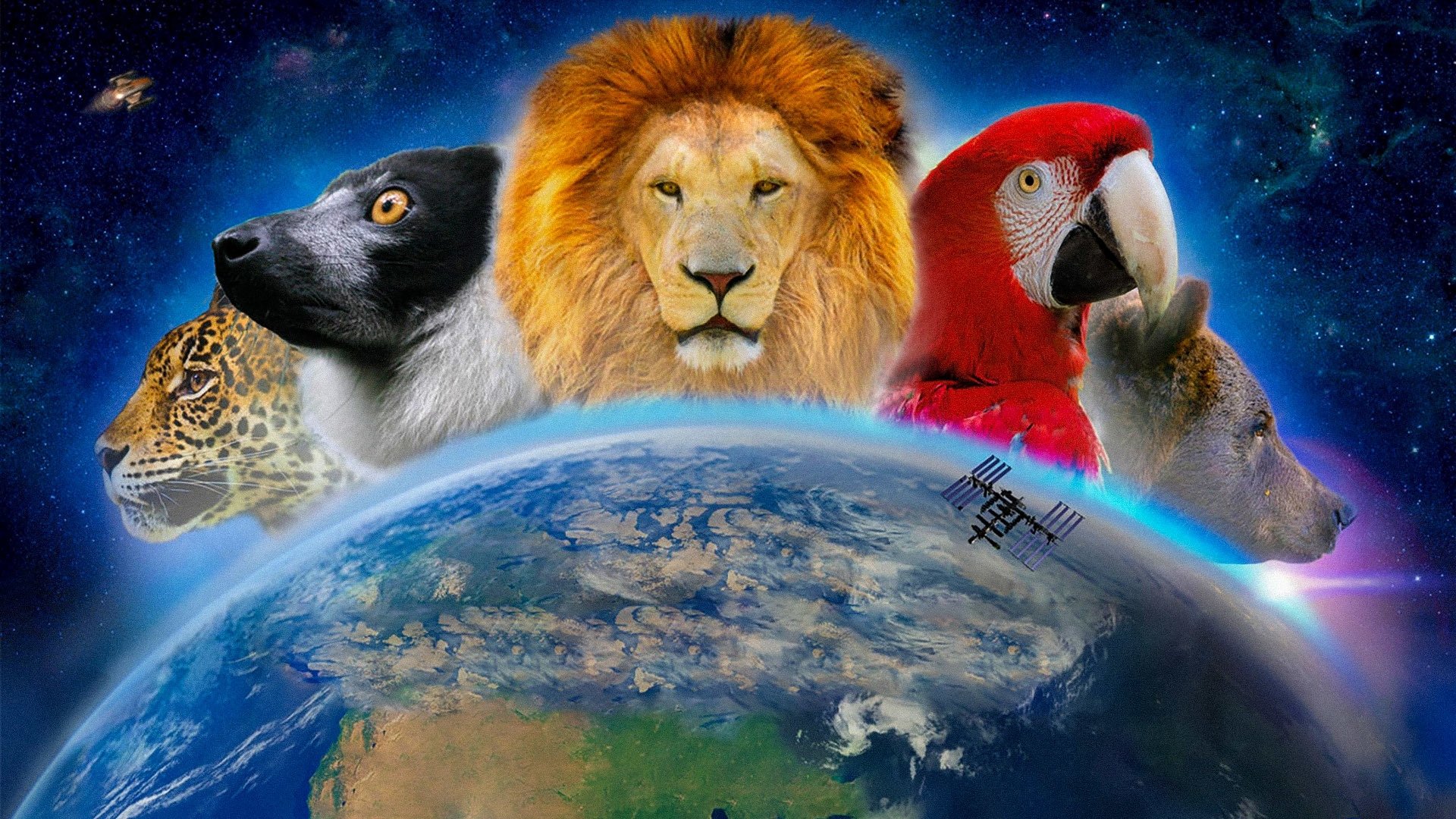 Wonderful World 3D Background