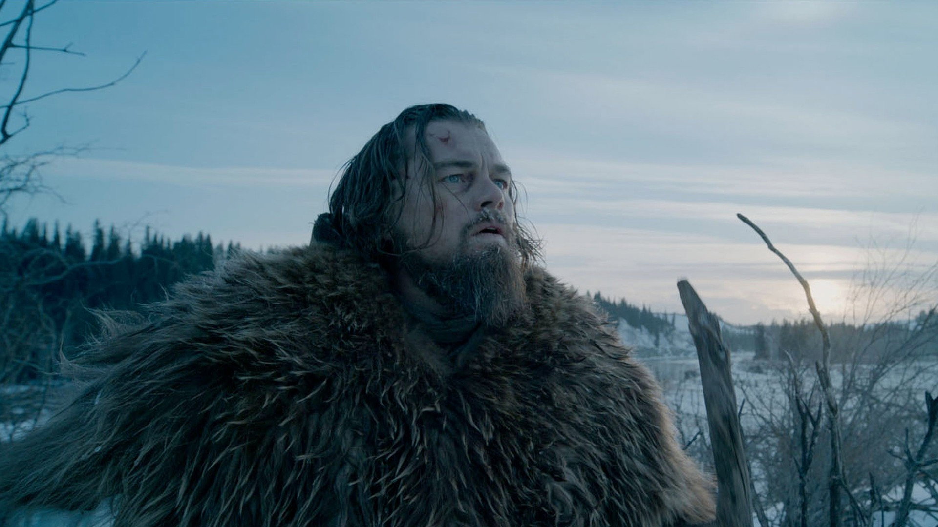 The Revenant Background