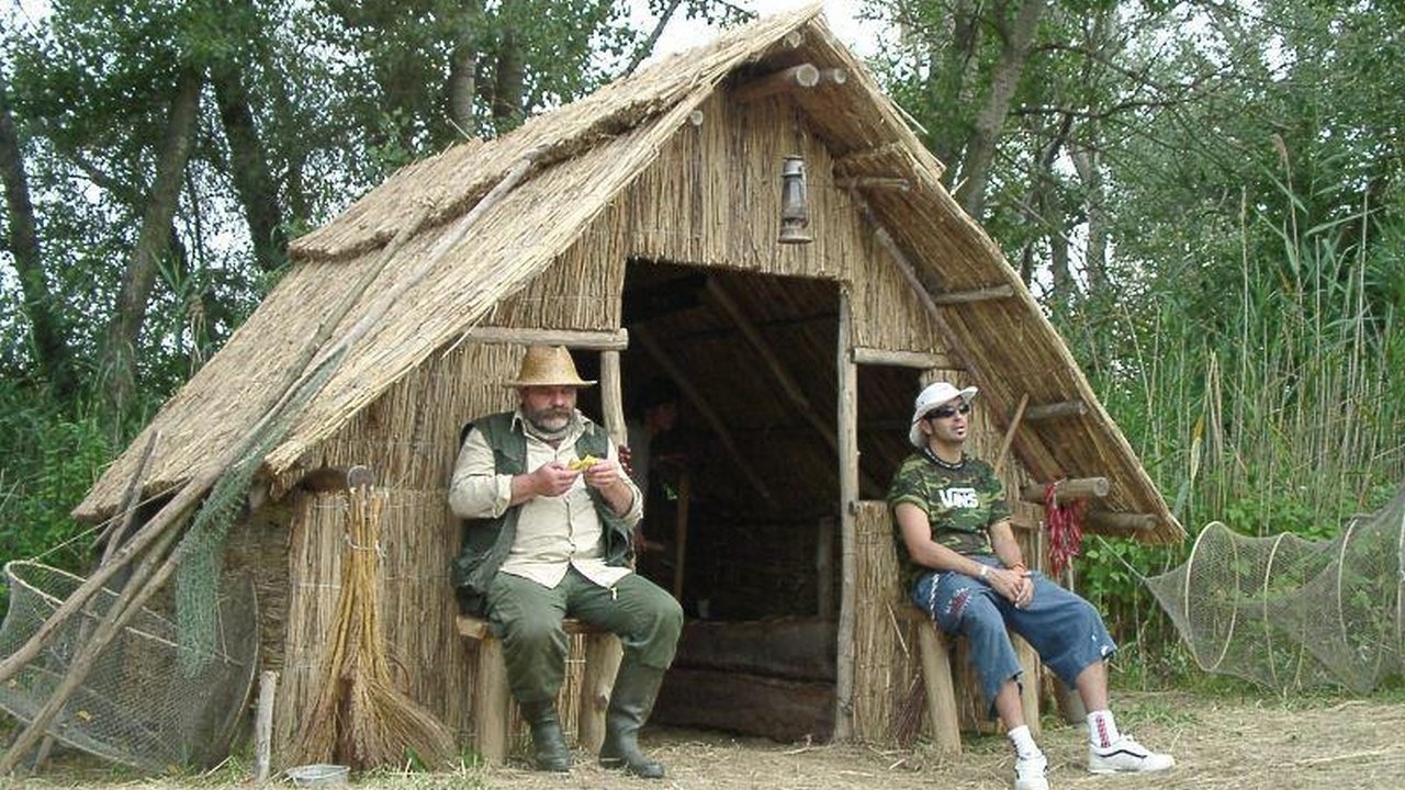 Thorn Castle Background