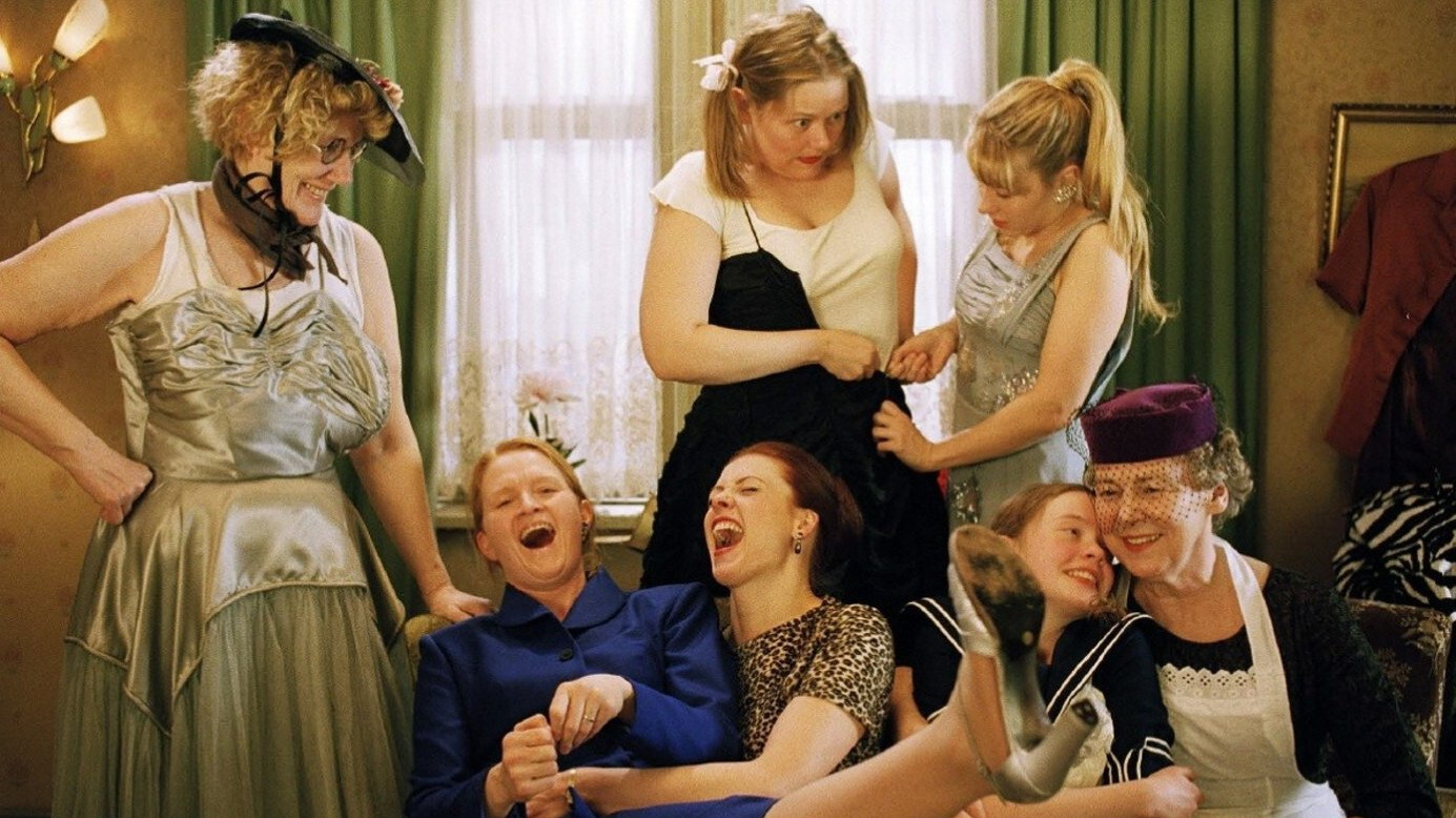 The Seagull's Laughter Background