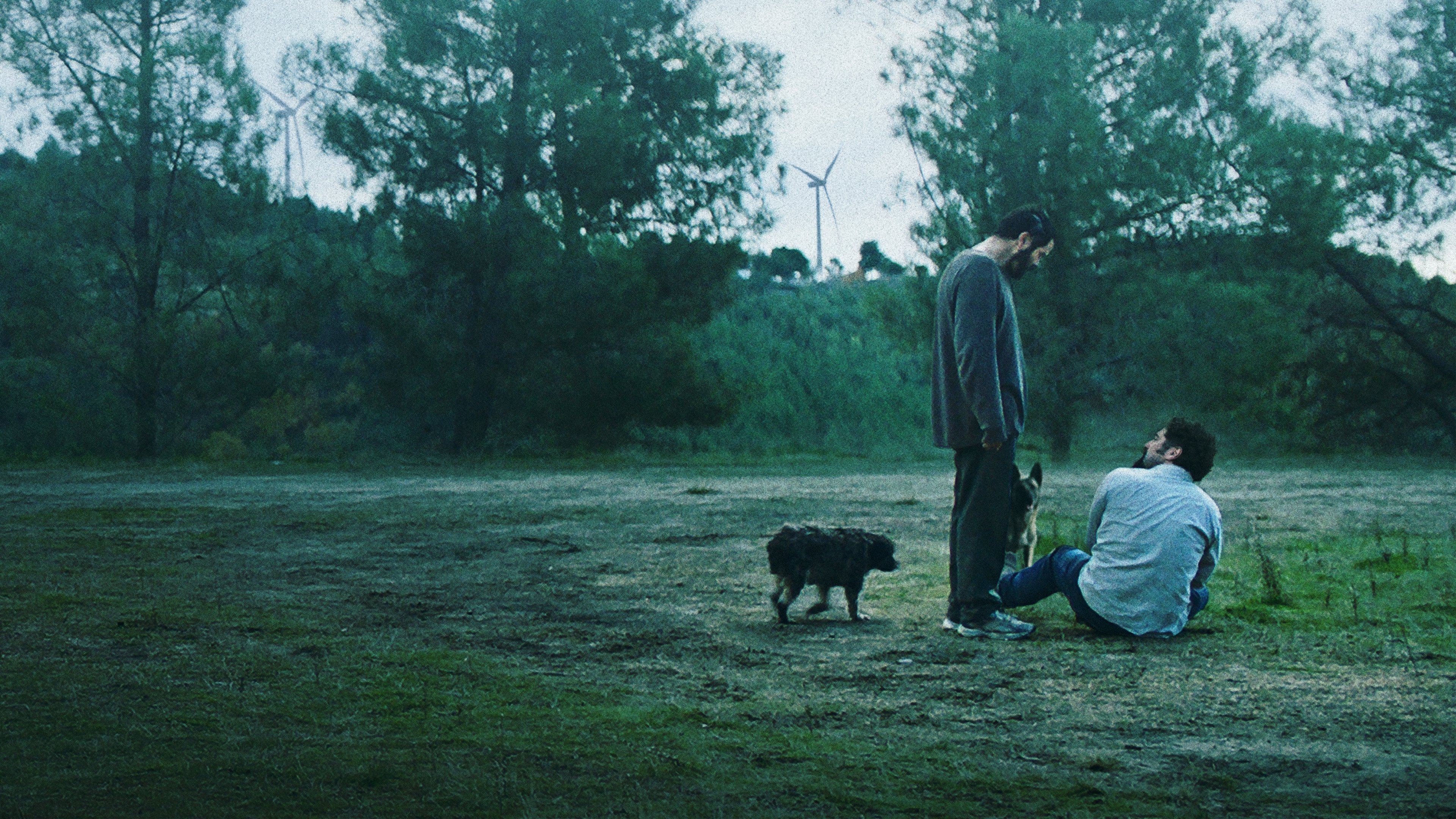 Remains of the Wind Background